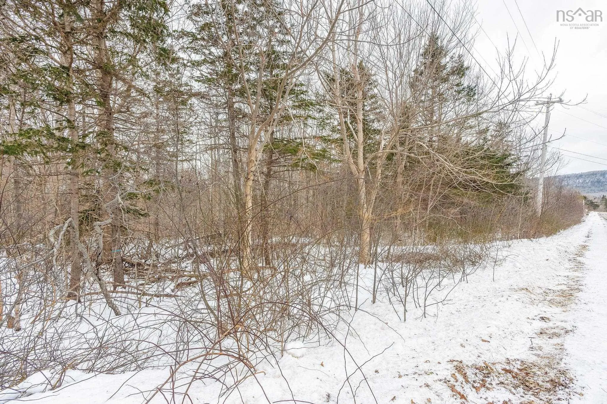 Granville Road Lot 17, Karsdale Ns B0s 1a0, ,Land,For Sale,Granville,202502472