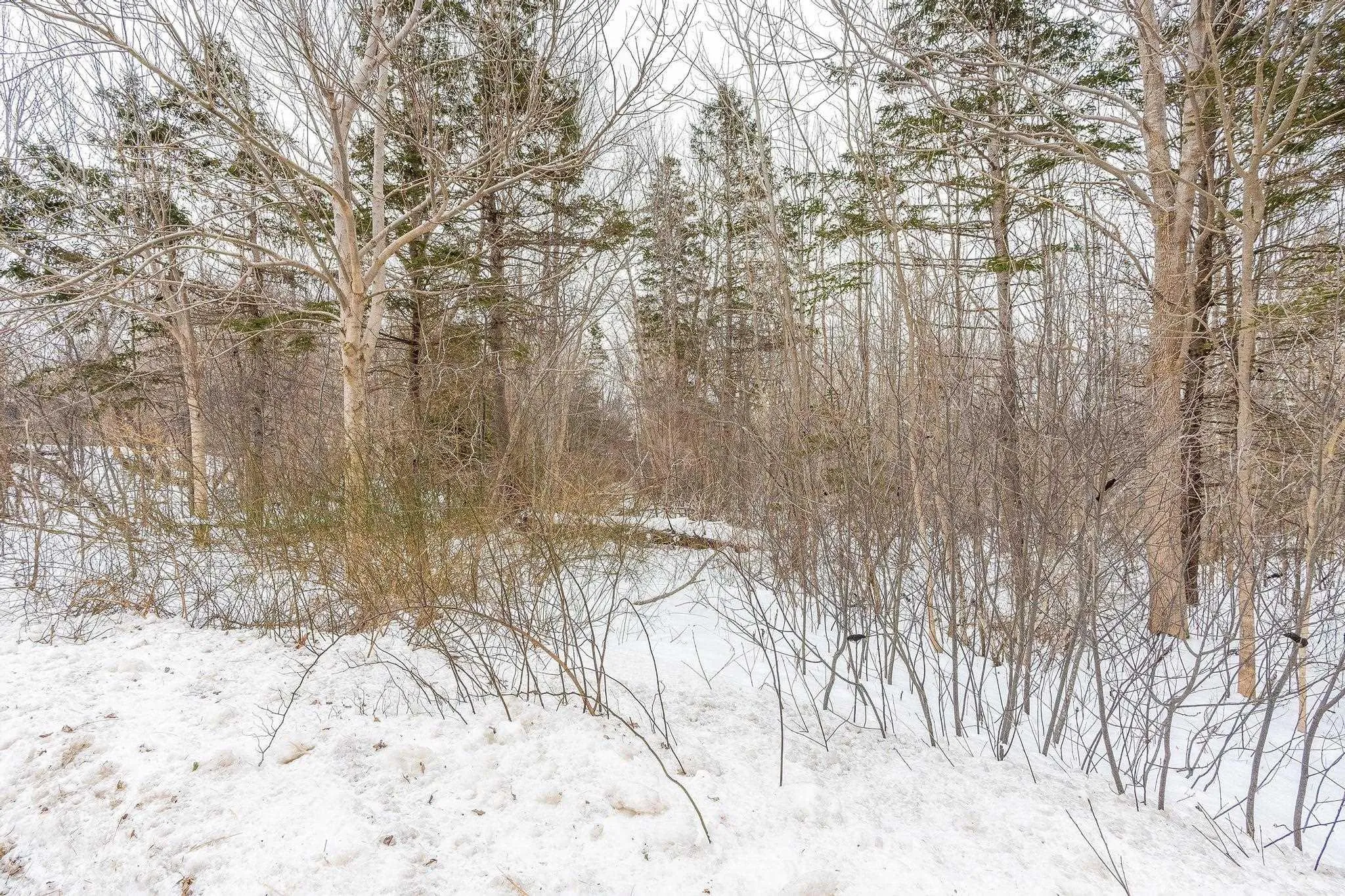 Granville Road Lot 17, Karsdale Ns B0s 1a0, ,Land,For Sale,Granville,202502472