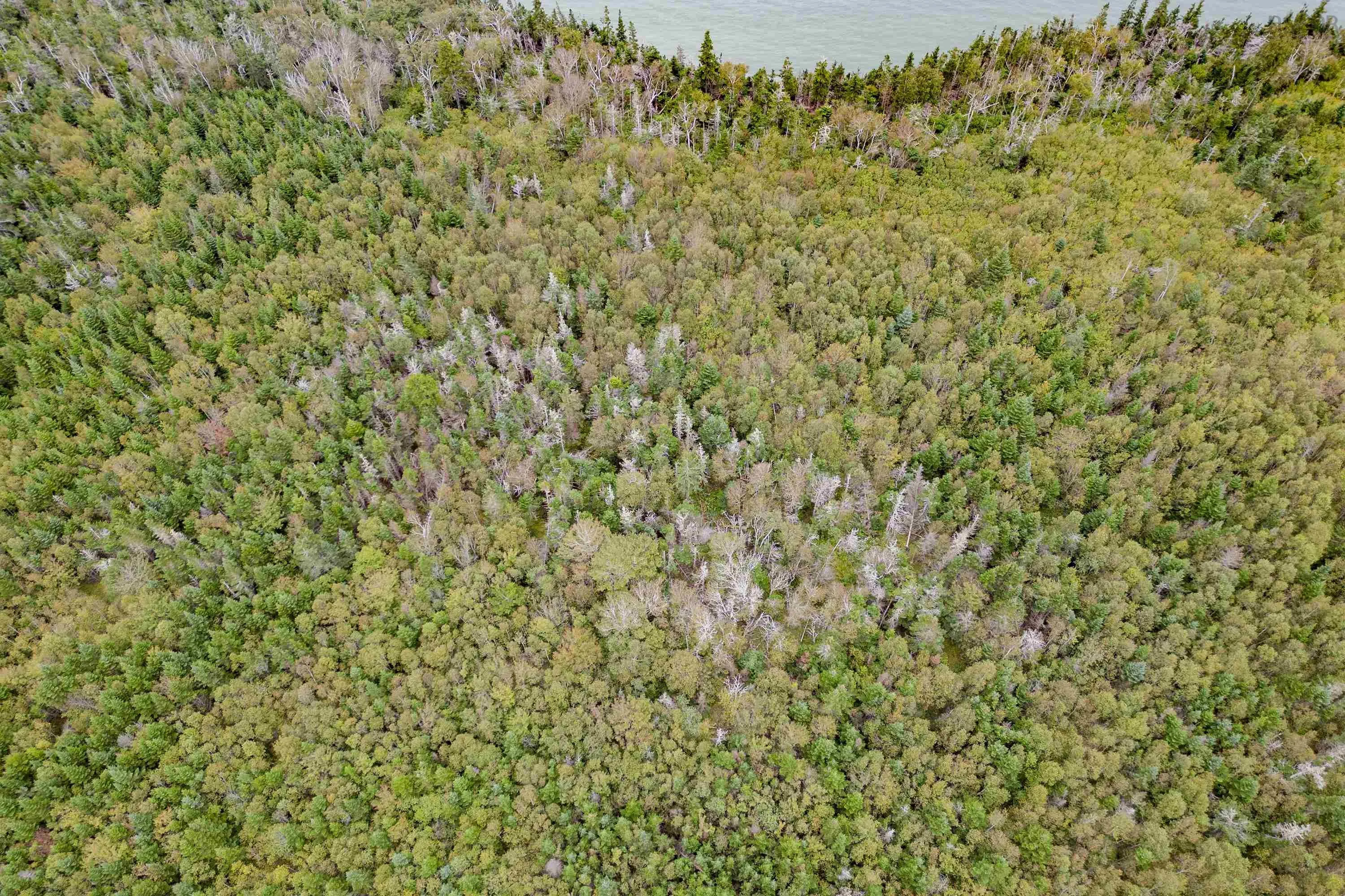 West Bay Road Lot 631, West Bay, NS B0M 1S0, ,Land,For Sale,West Bay,202518934