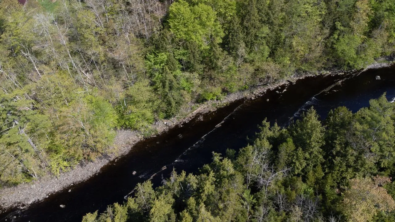 Lot 3 Osborne Road, New Germany Ns B0r 1e0, ,Land,For Sale,Osborne,202510468