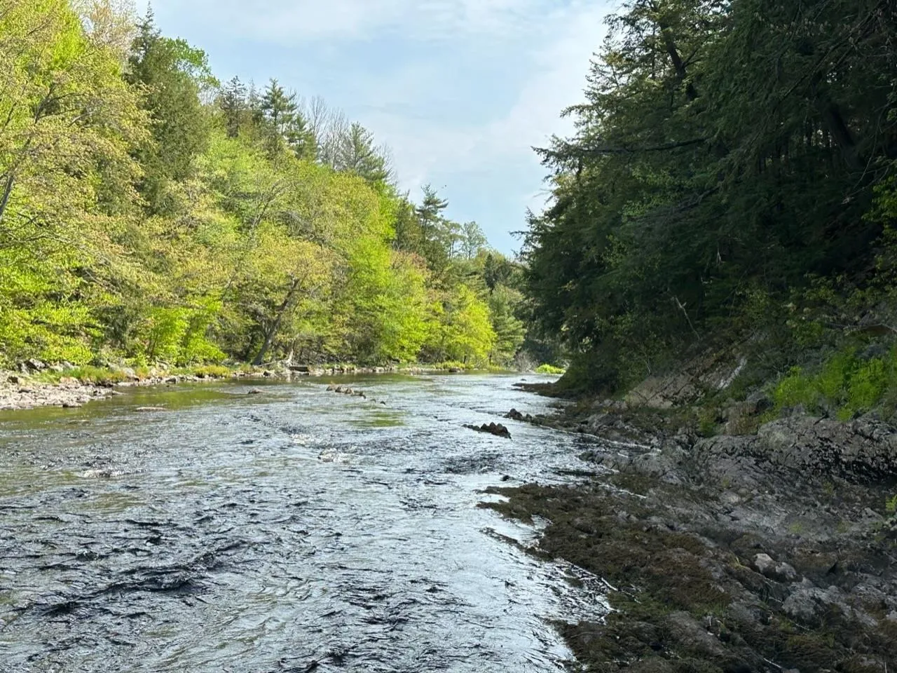 Lot 3 Osborne Road, New Germany Ns B0r 1e0, ,Land,For Sale,Osborne,202510468