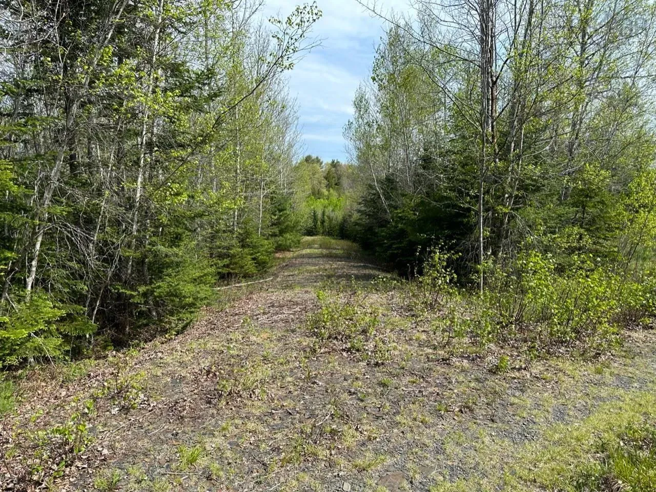Lot 3 Osborne Road, New Germany Ns B0r 1e0, ,Land,For Sale,Osborne,202510468