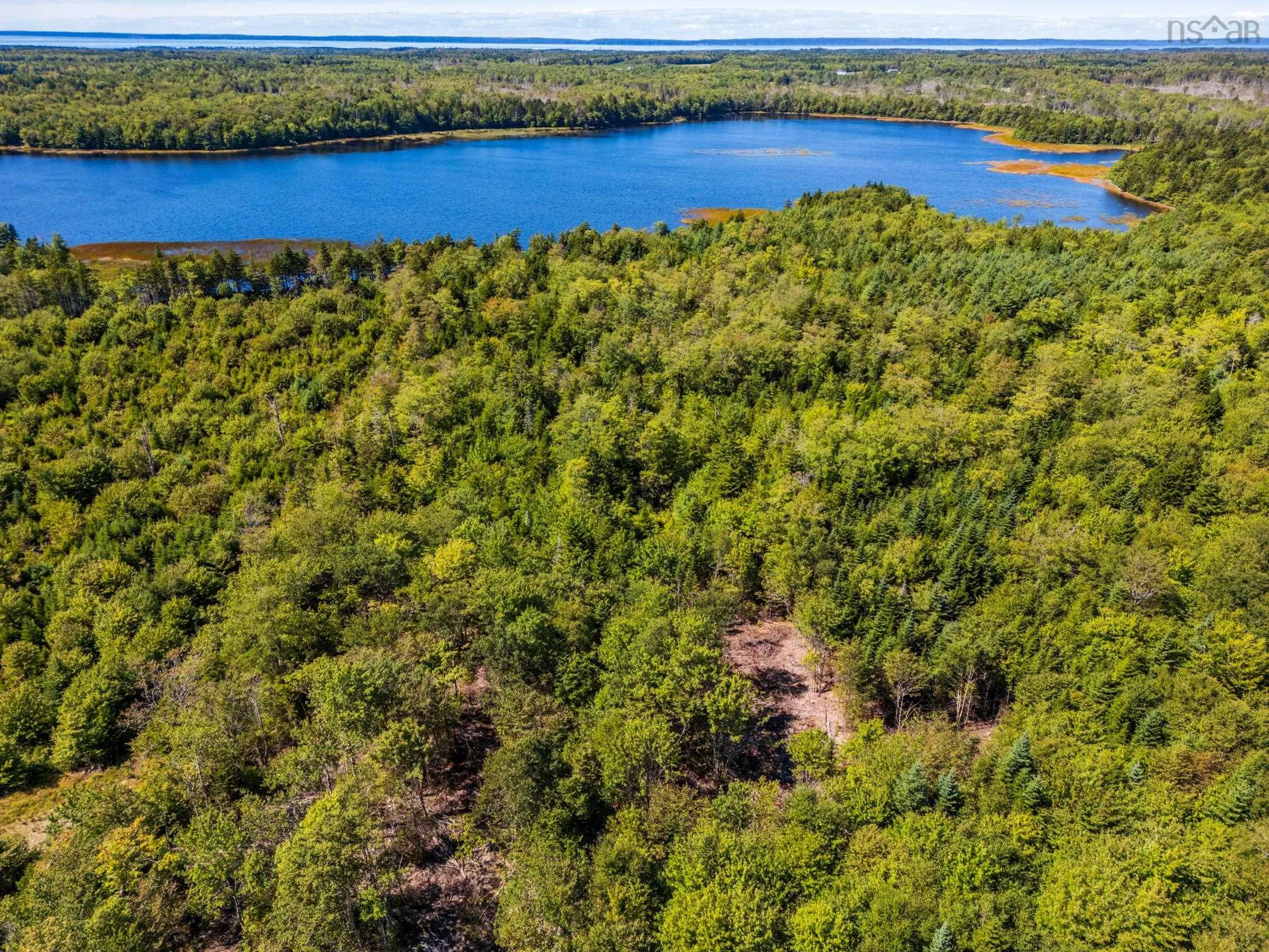 140 Henriette Bridge Road, Concession, NS B0W 1M0, ,Land,For Sale,Henriette Bridge Road,202522130