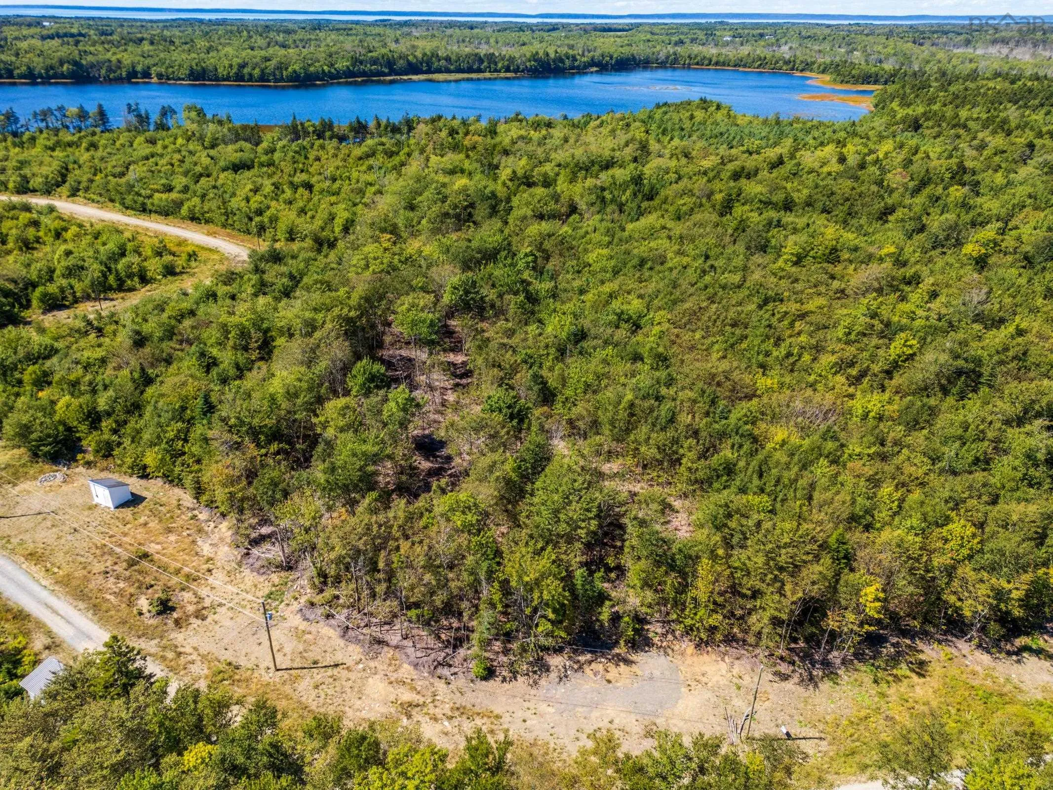 140 Henriette Bridge Road, Concession, NS B0W 1M0, ,Land,For Sale,Henriette Bridge Road,202522130