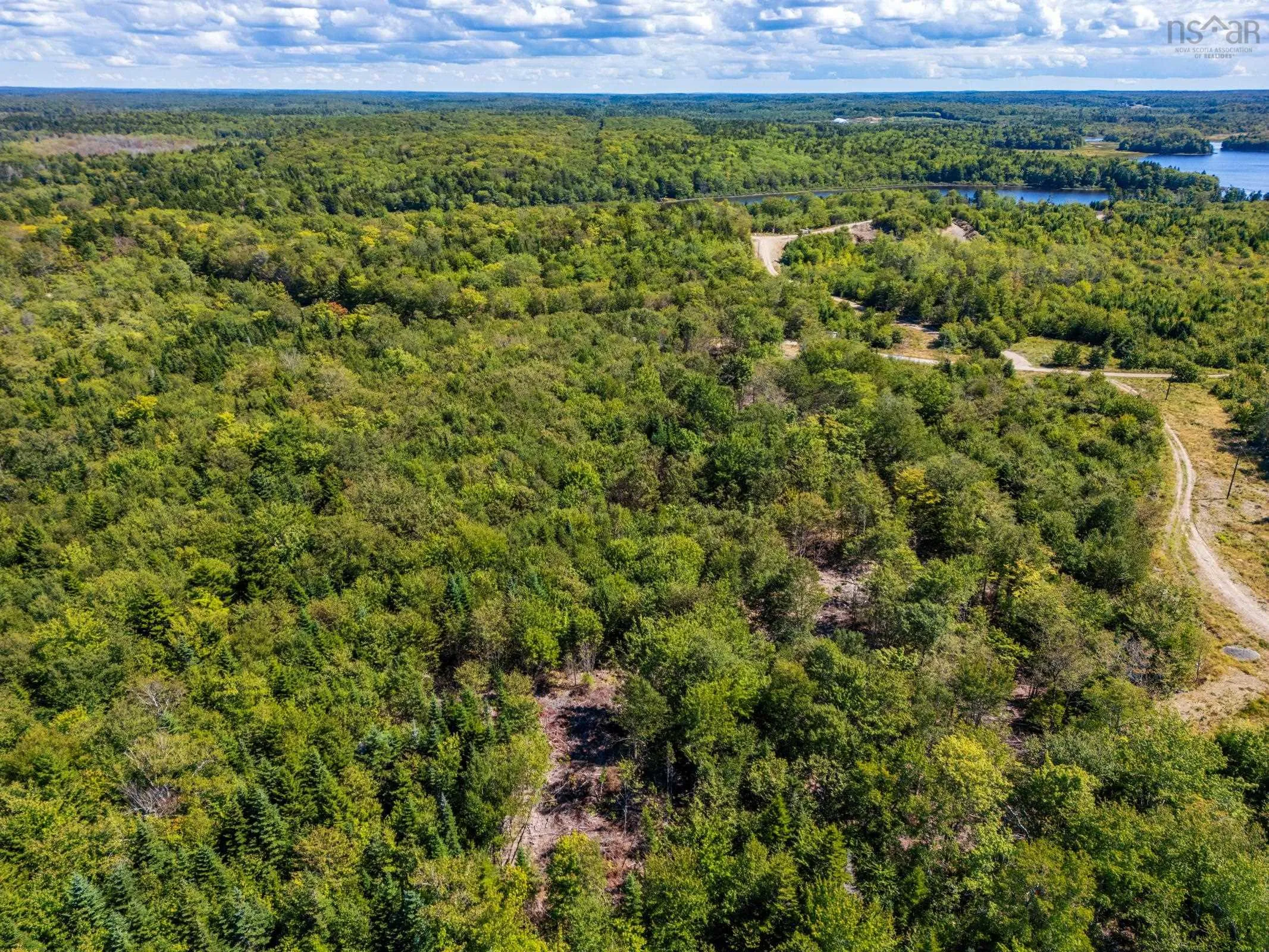 140 Henriette Bridge Road, Concession, NS B0W 1M0, ,Land,For Sale,Henriette Bridge Road,202522130