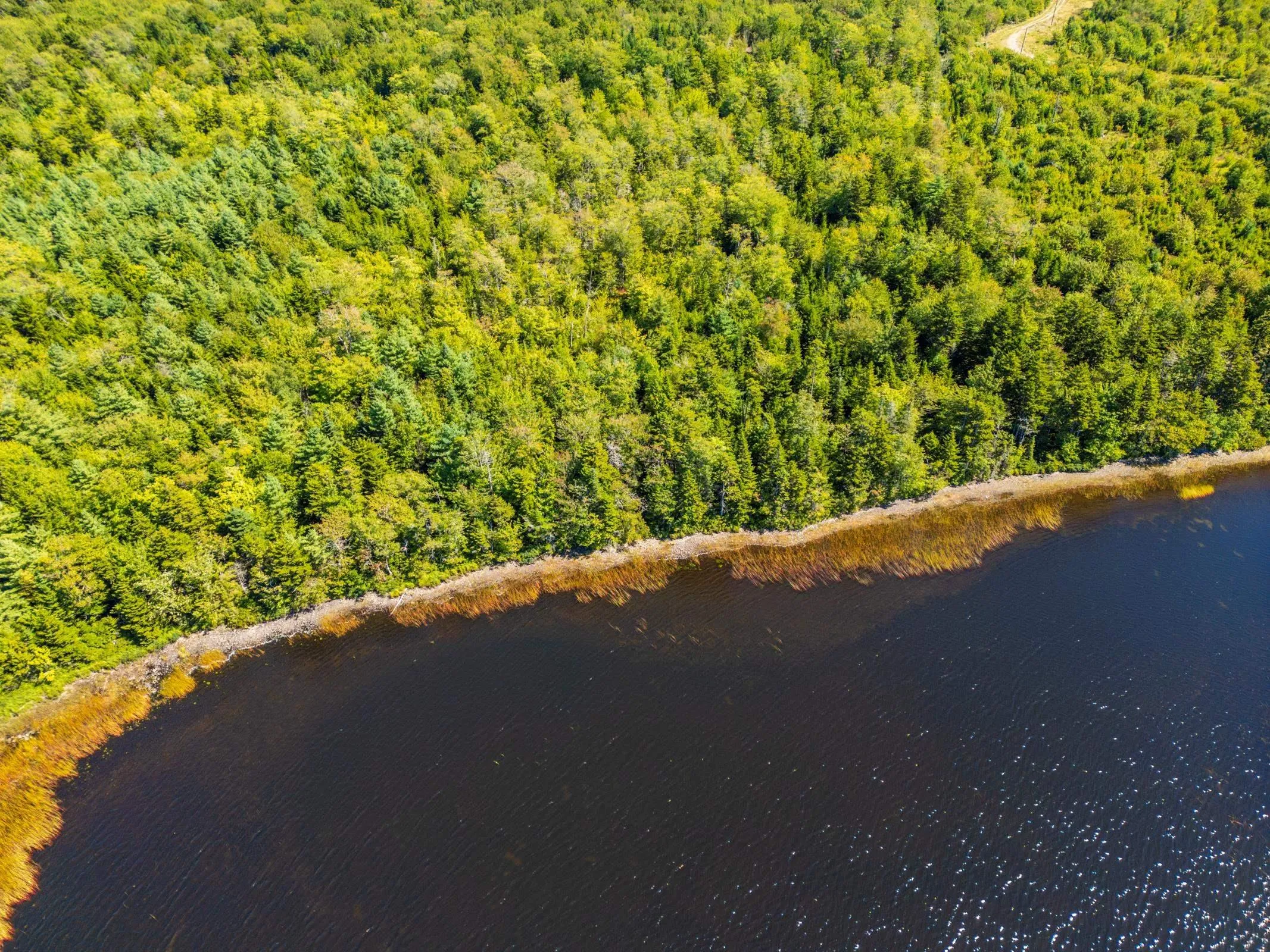 140 Henriette Bridge Road, Concession, NS B0W 1M0, ,Land,For Sale,Henriette Bridge Road,202522130