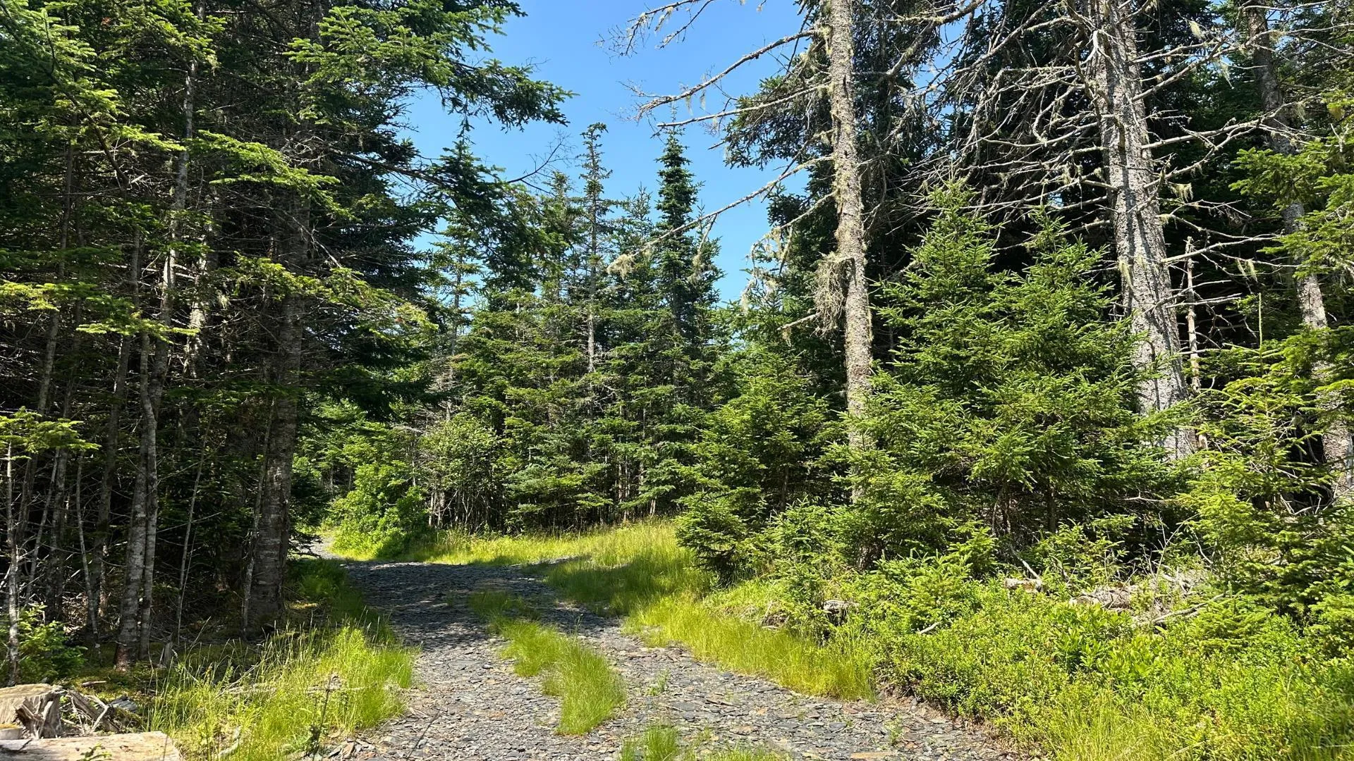 Upper Kingsburg Road, Upper Kingsburg, NS B0J 2X0, ,Land,For Sale,Upper Kingsburg,202518110