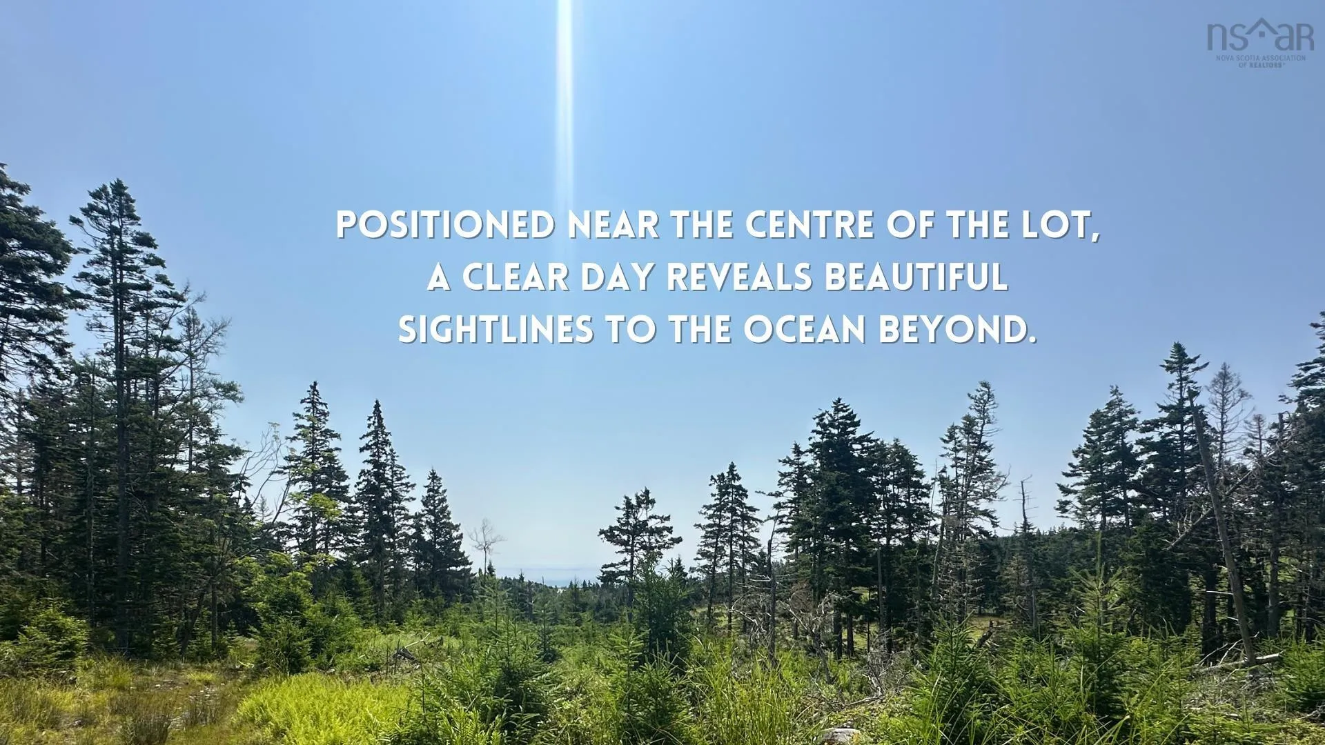 Upper Kingsburg Road, Upper Kingsburg, NS B0J 2X0, ,Land,For Sale,Upper Kingsburg,202518110