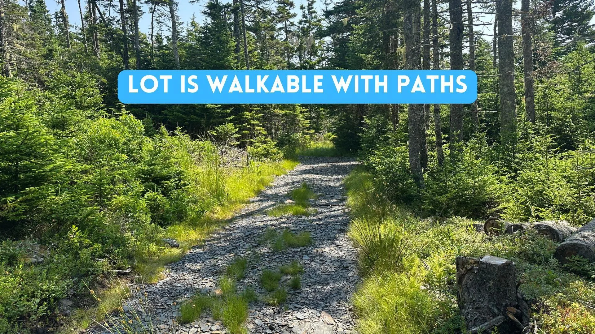Upper Kingsburg Road, Upper Kingsburg, NS B0J 2X0, ,Land,For Sale,Upper Kingsburg,202518110