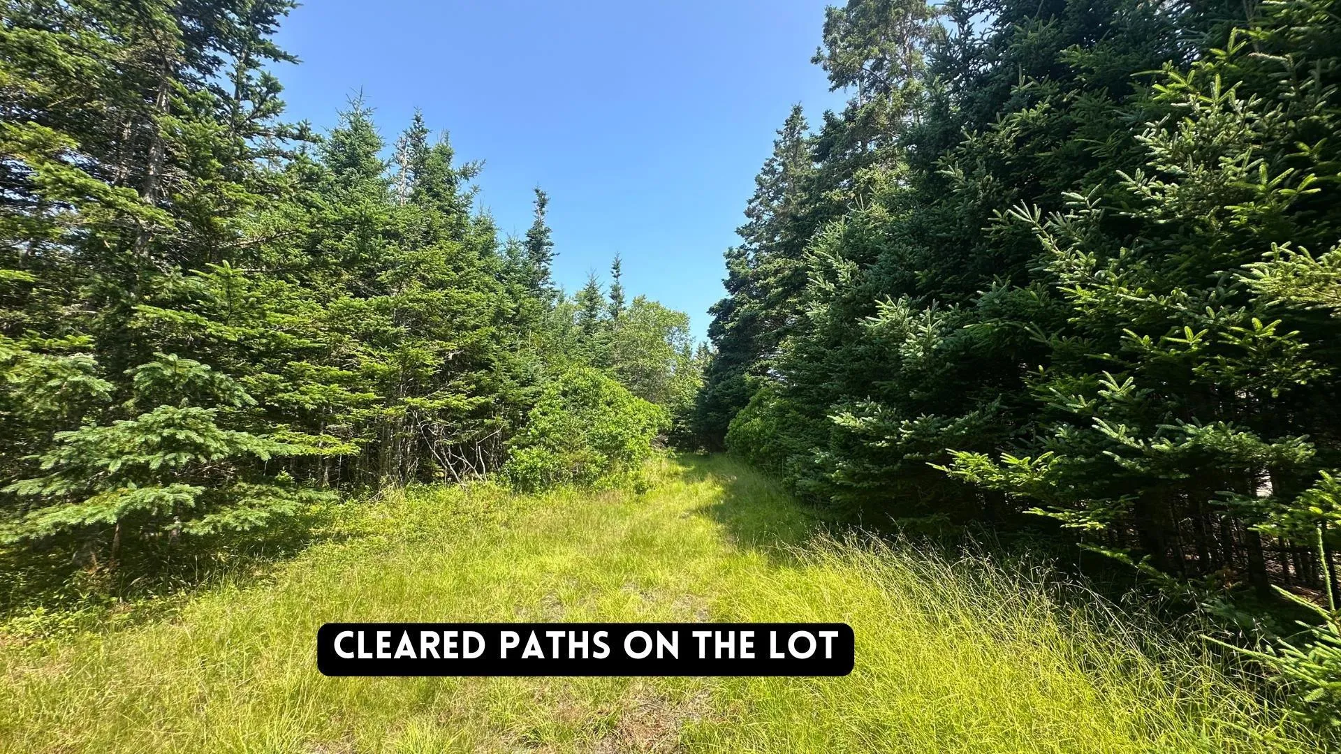 Upper Kingsburg Road, Upper Kingsburg, NS B0J 2X0, ,Land,For Sale,Upper Kingsburg,202518110