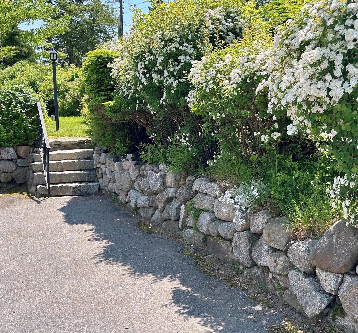 97 Nauss Point Road, Chester, NS B0J 1J0, 5 Bedrooms Bedrooms, ,3 BathroomsBathrooms,Residential,For Sale,Nauss Point,202514820