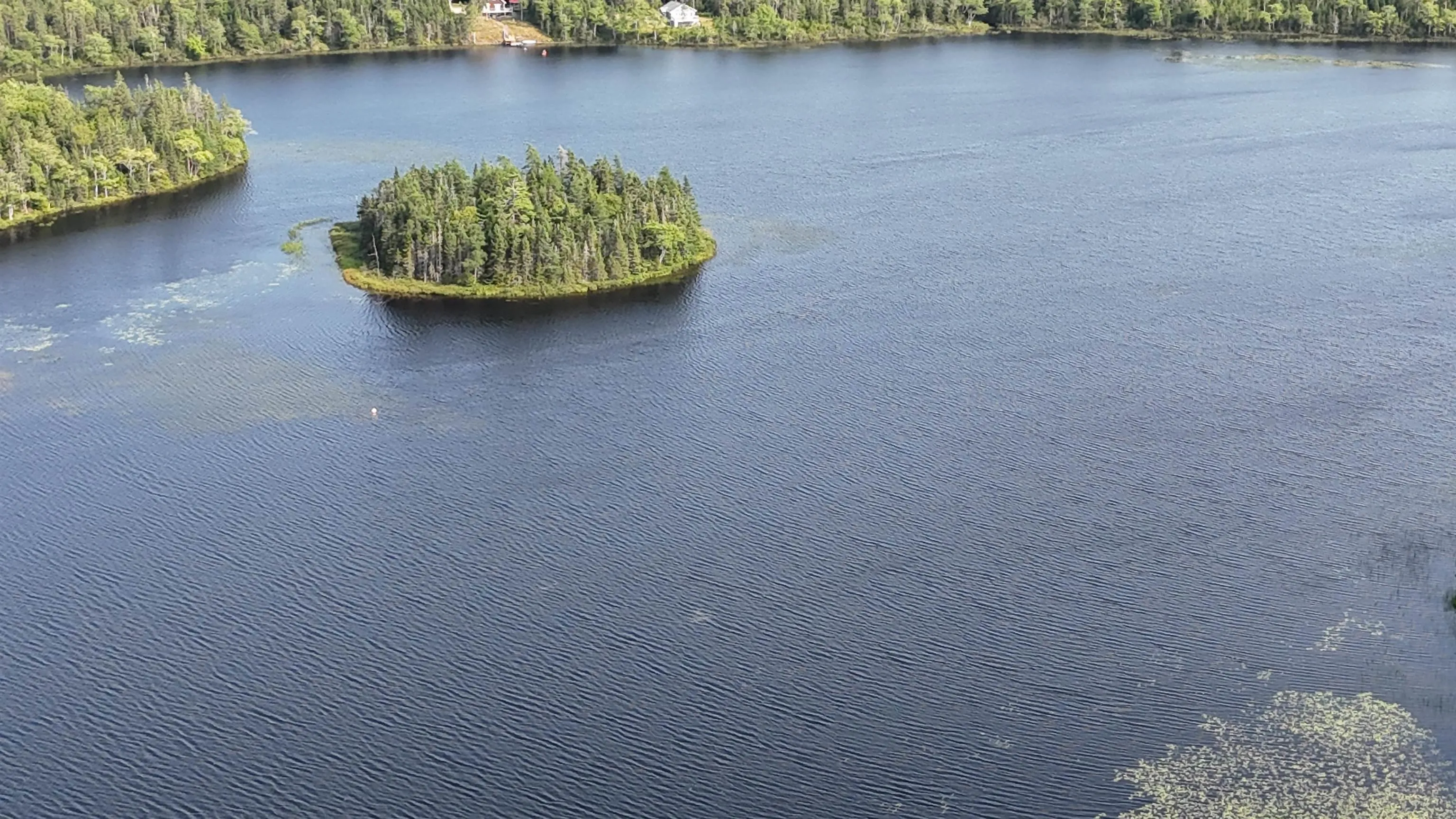 Hwy 4 lot 40, Cleveland NS B0E 1J0, ,Land,For Sale,Lucas,202315036