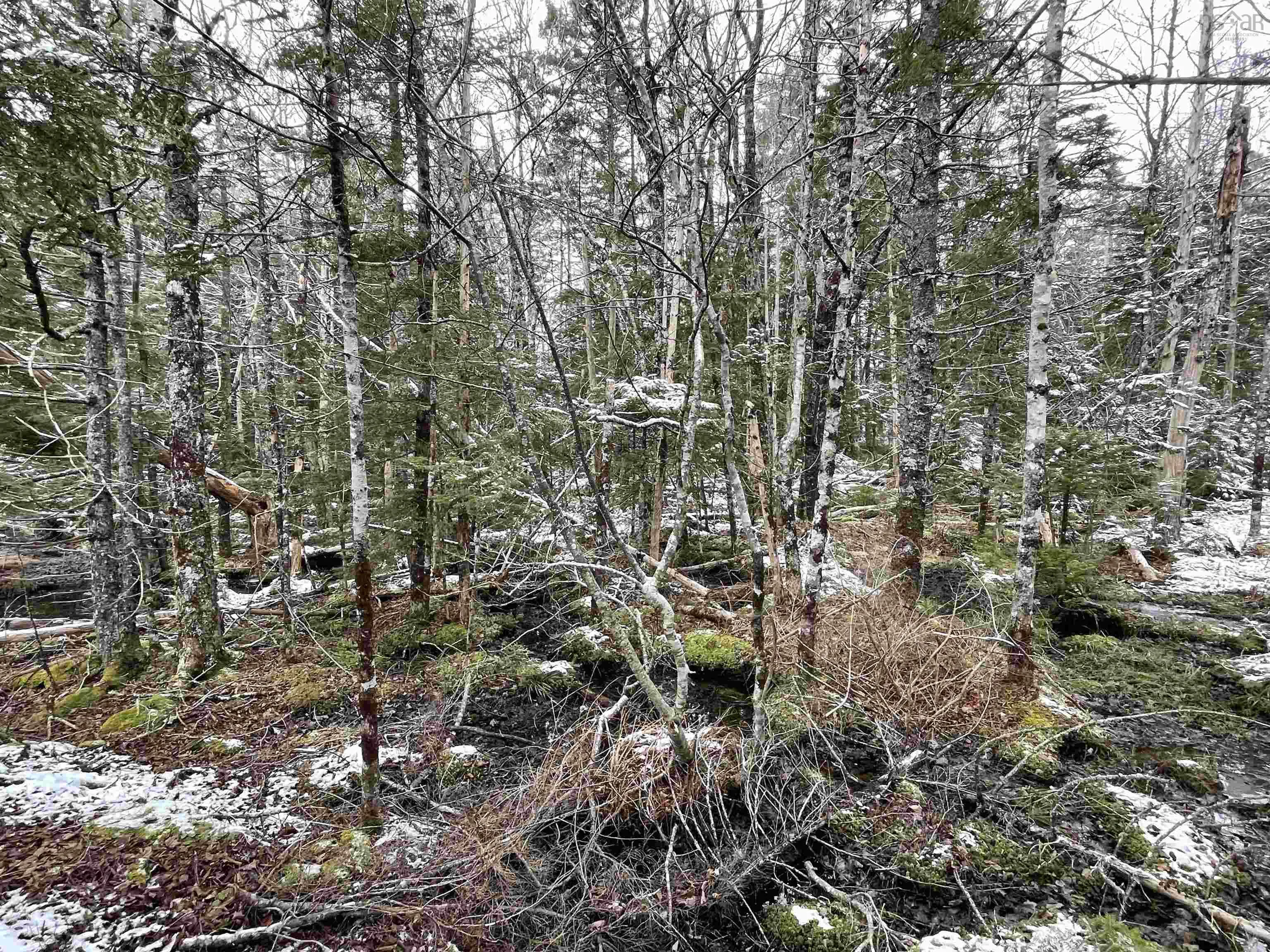 Lapland Road Lot 3, Lapland NS B4V 7V1, ,Land,For Sale,Lapland,202400239