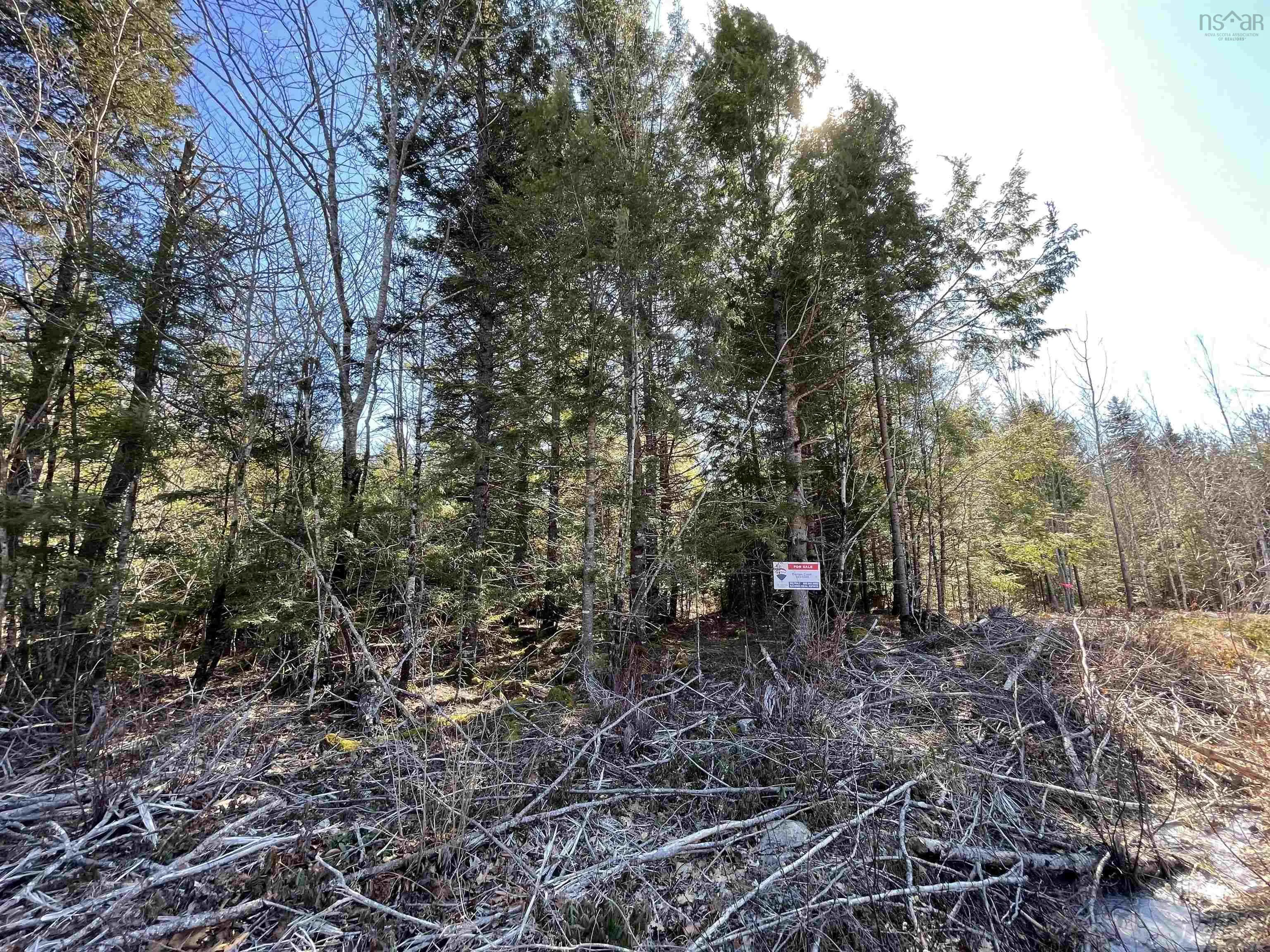 Lapland Road Lot 3, Lapland NS B4V 7V1, ,Land,For Sale,Lapland,202400239