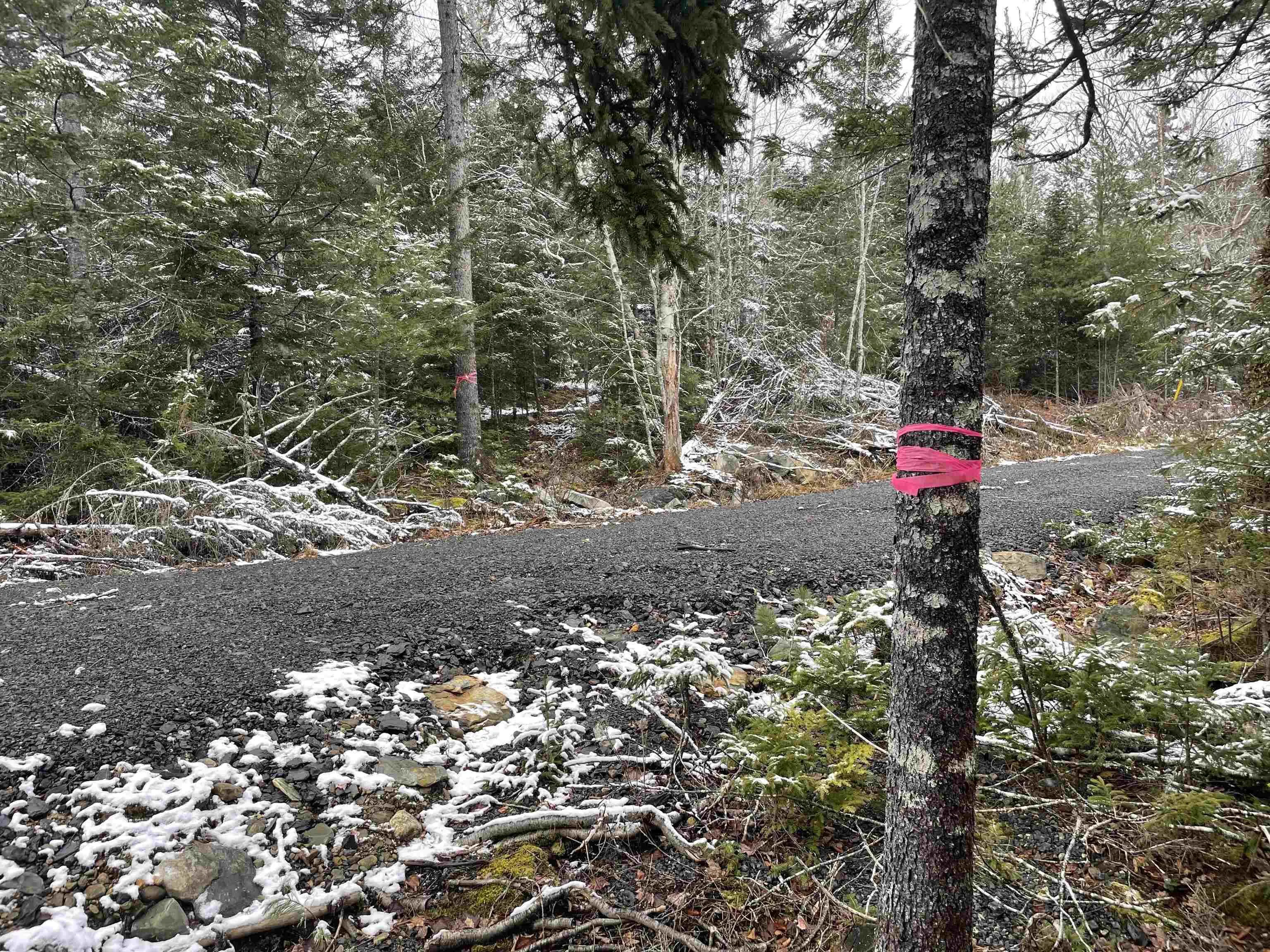 Lapland Road Lot 3, Lapland NS B4V 7V1, ,Land,For Sale,Lapland,202400239