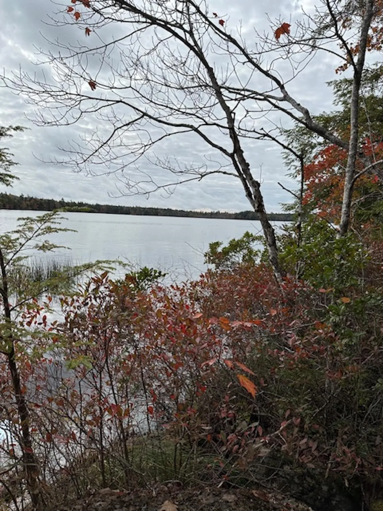 Lapland Road Lot 3, Lapland NS B4V 7V1, ,Land,For Sale,Lapland,202400239