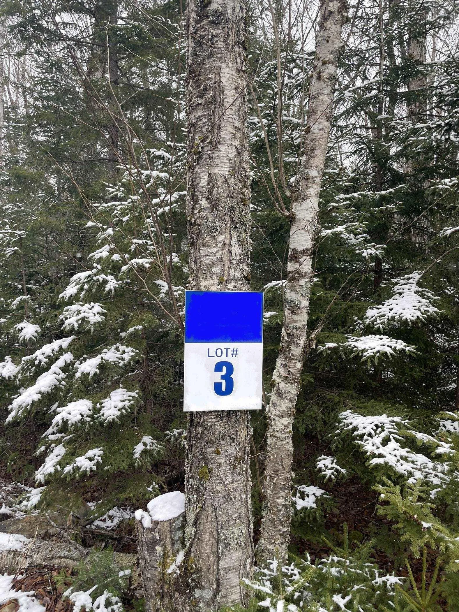 Lapland Road Lot 3, Lapland NS B4V 7V1, ,Land,For Sale,Lapland,202400239
