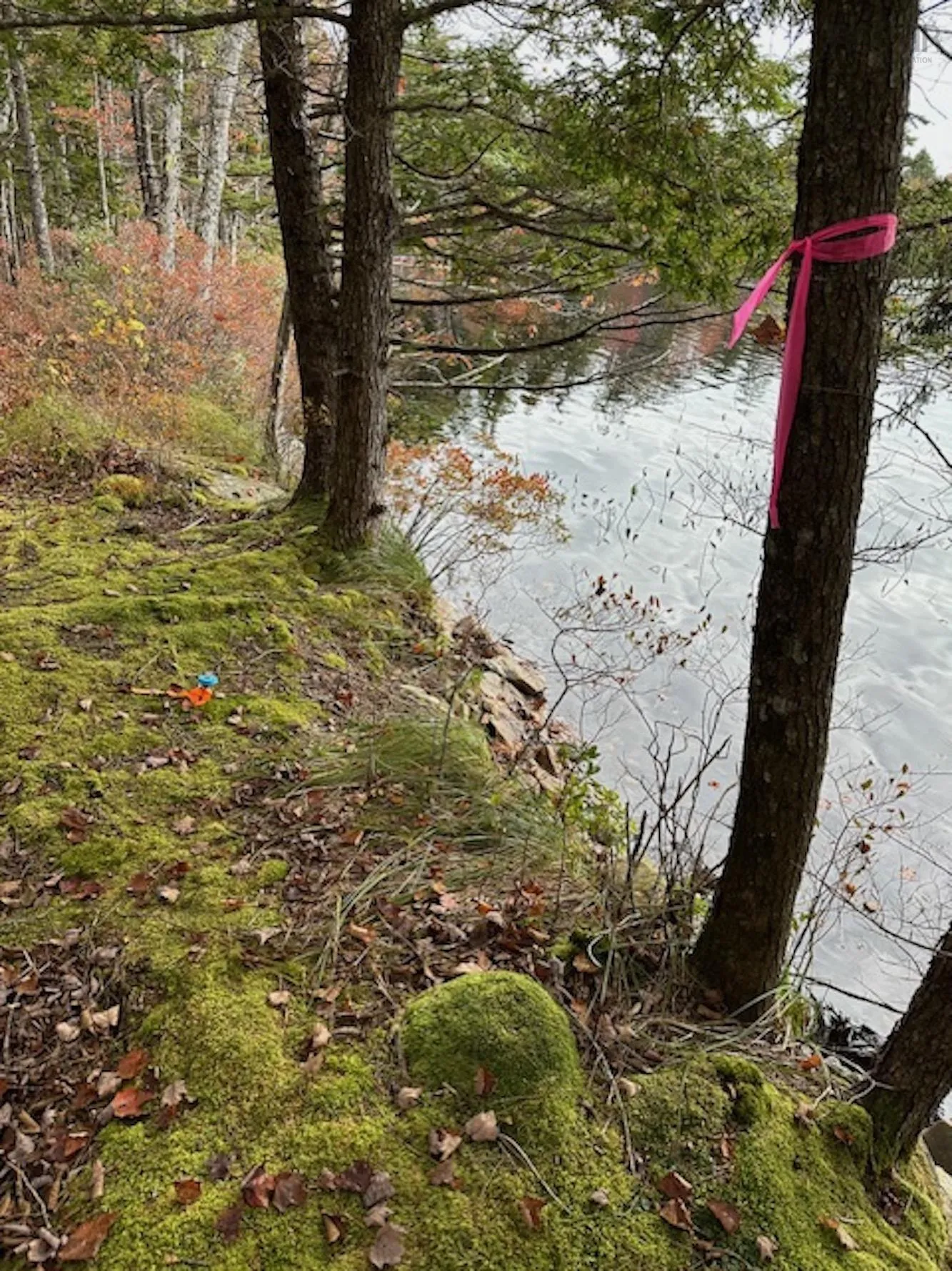 Lapland Road Lot 3, Lapland NS B4V 7V1, ,Land,For Sale,Lapland,202400239