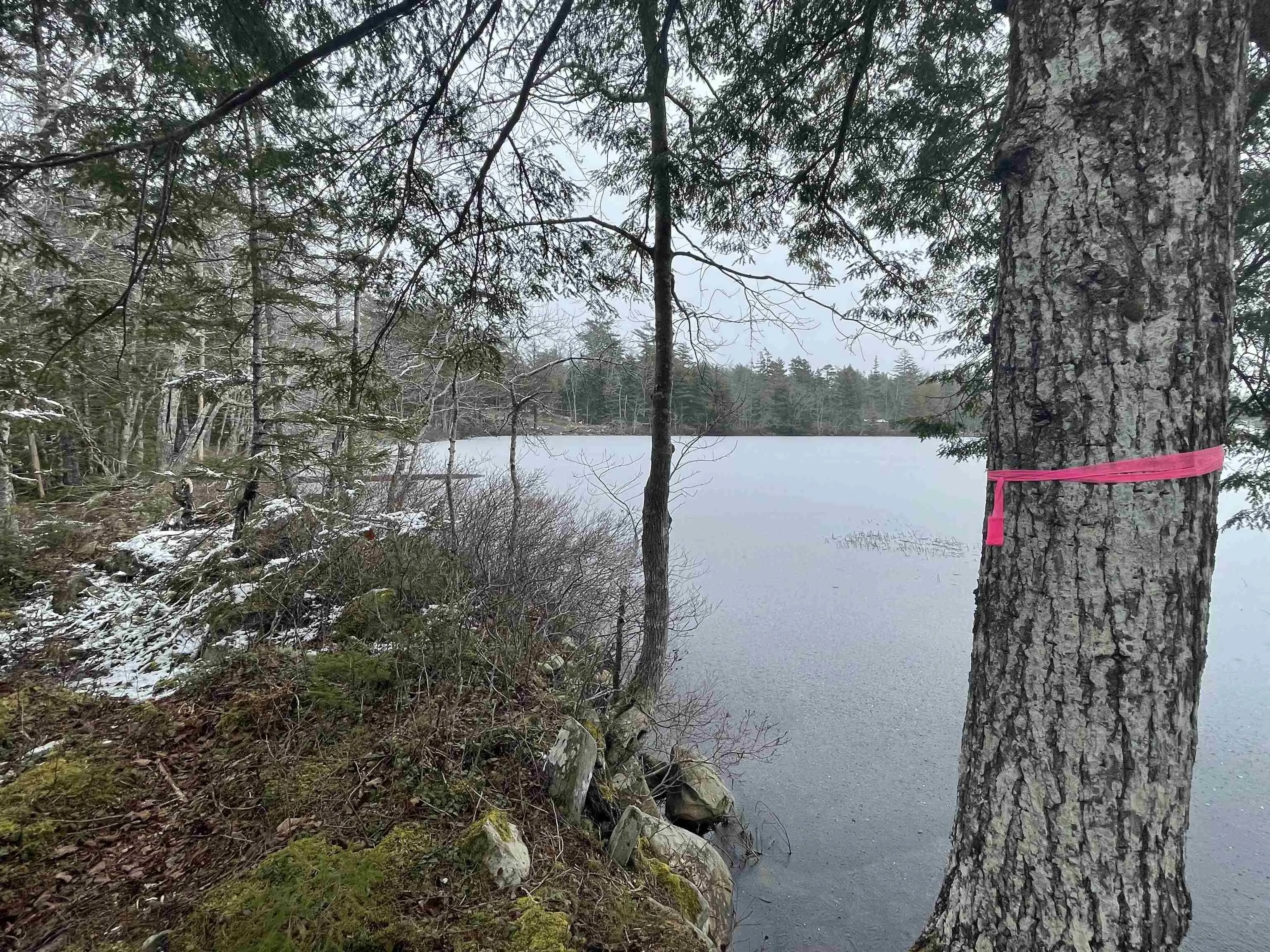 Lapland Road Lot 3, Lapland NS B4V 7V1, ,Land,For Sale,Lapland,202400239