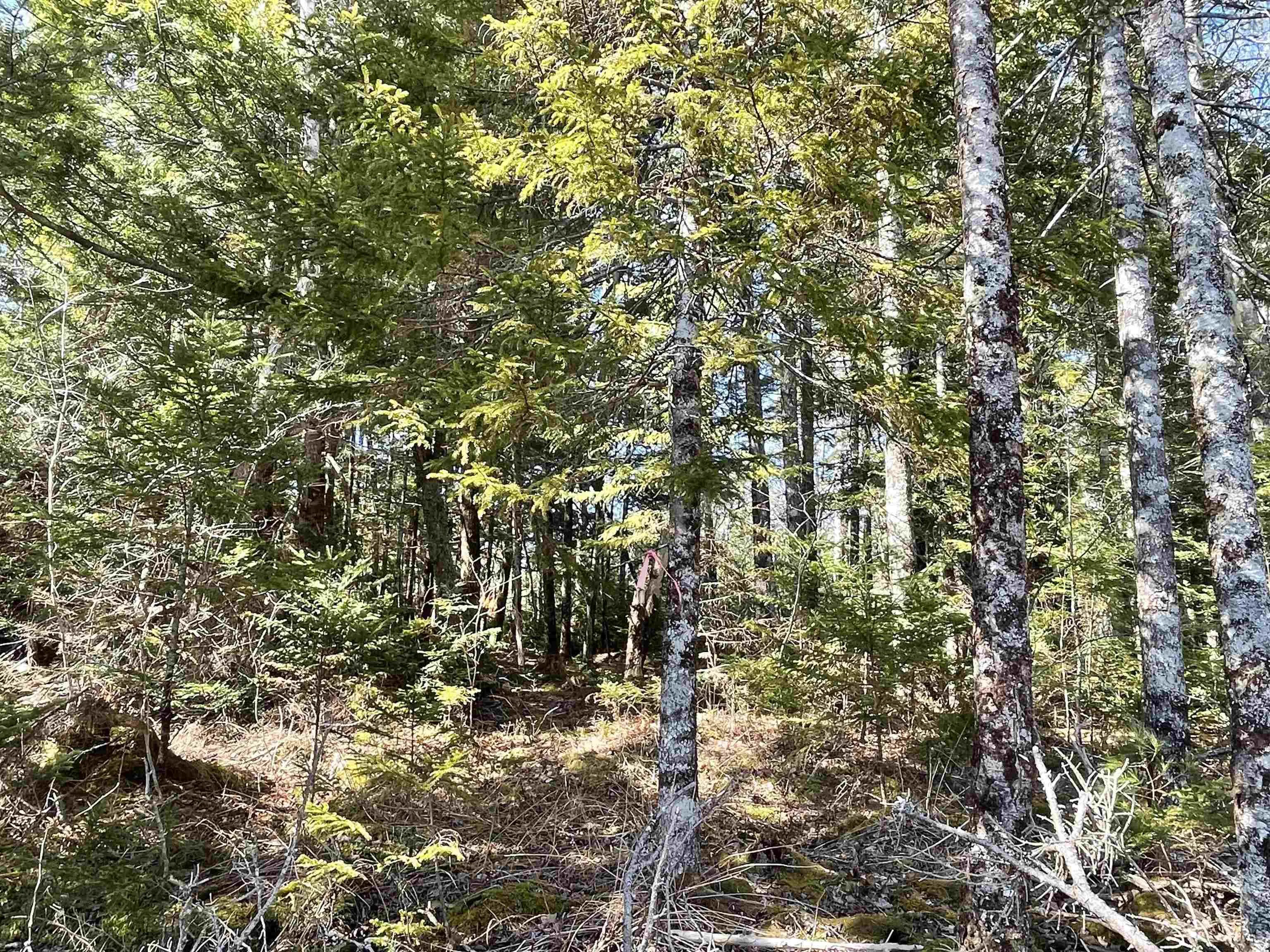 Lapland Road Lot 3, Lapland NS B4V 7V1, ,Land,For Sale,Lapland,202400239