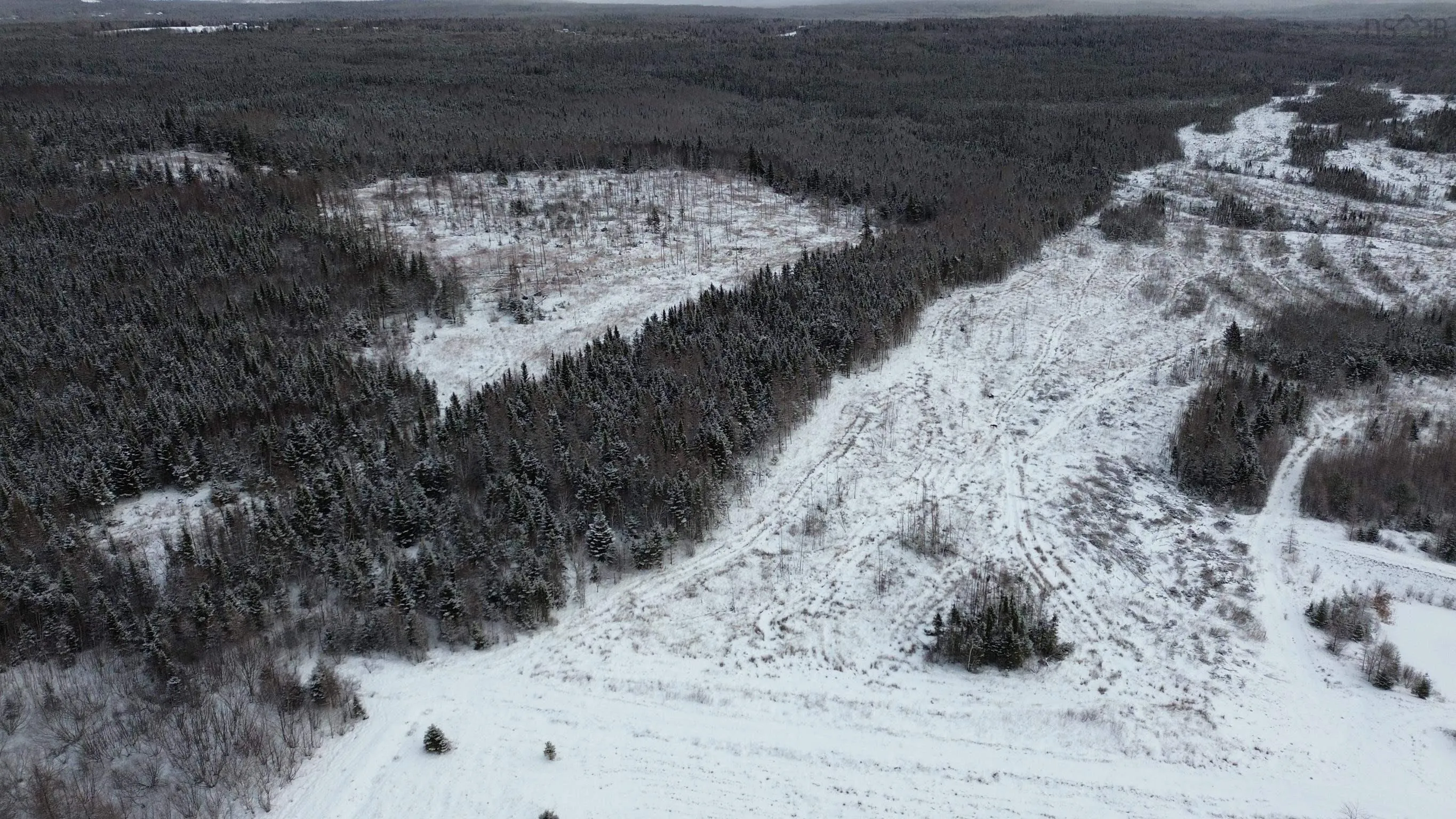 Blue Goose Drive, Harbourview Ns B0e 2w0, ,Land,For Sale,Blue Goose,202500931