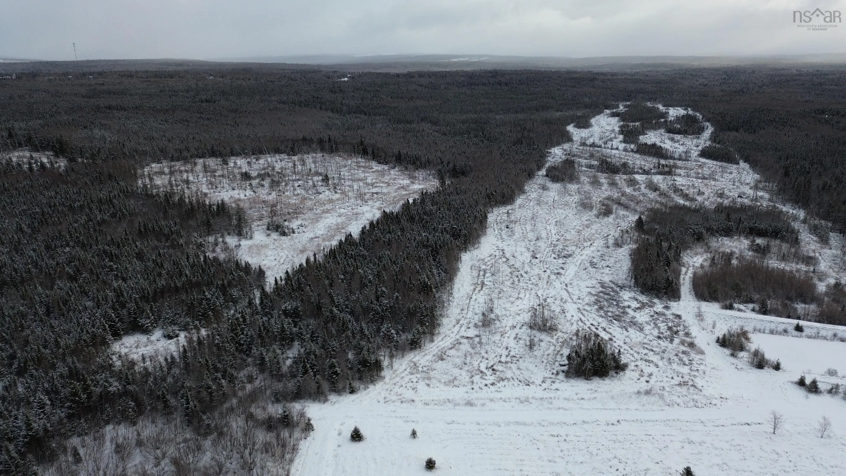 Blue Goose Drive, Harbourview Ns B0e 2w0, ,Land,For Sale,Blue Goose,202500931