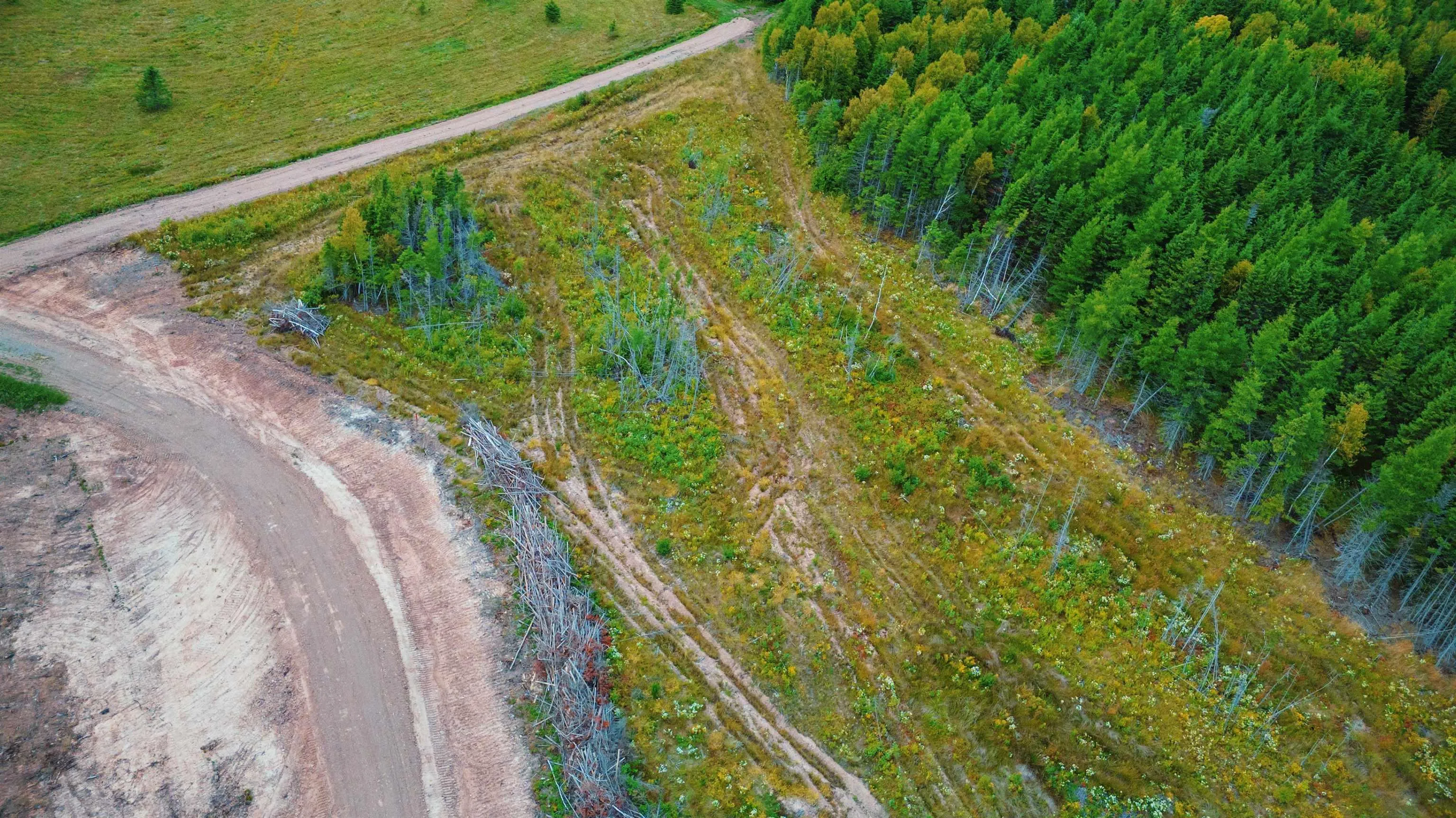 Blue Goose Drive, Harbourview Ns B0e 2w0, ,Land,For Sale,Blue Goose,202500931