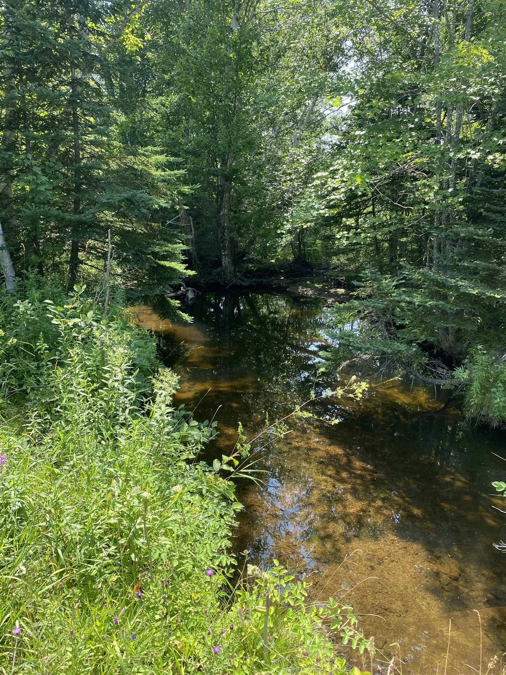 0 Grand Mira North Road, Marion Bridge, NS B1K 1B2, ,Land,For Sale,Grand Mira North,202519488