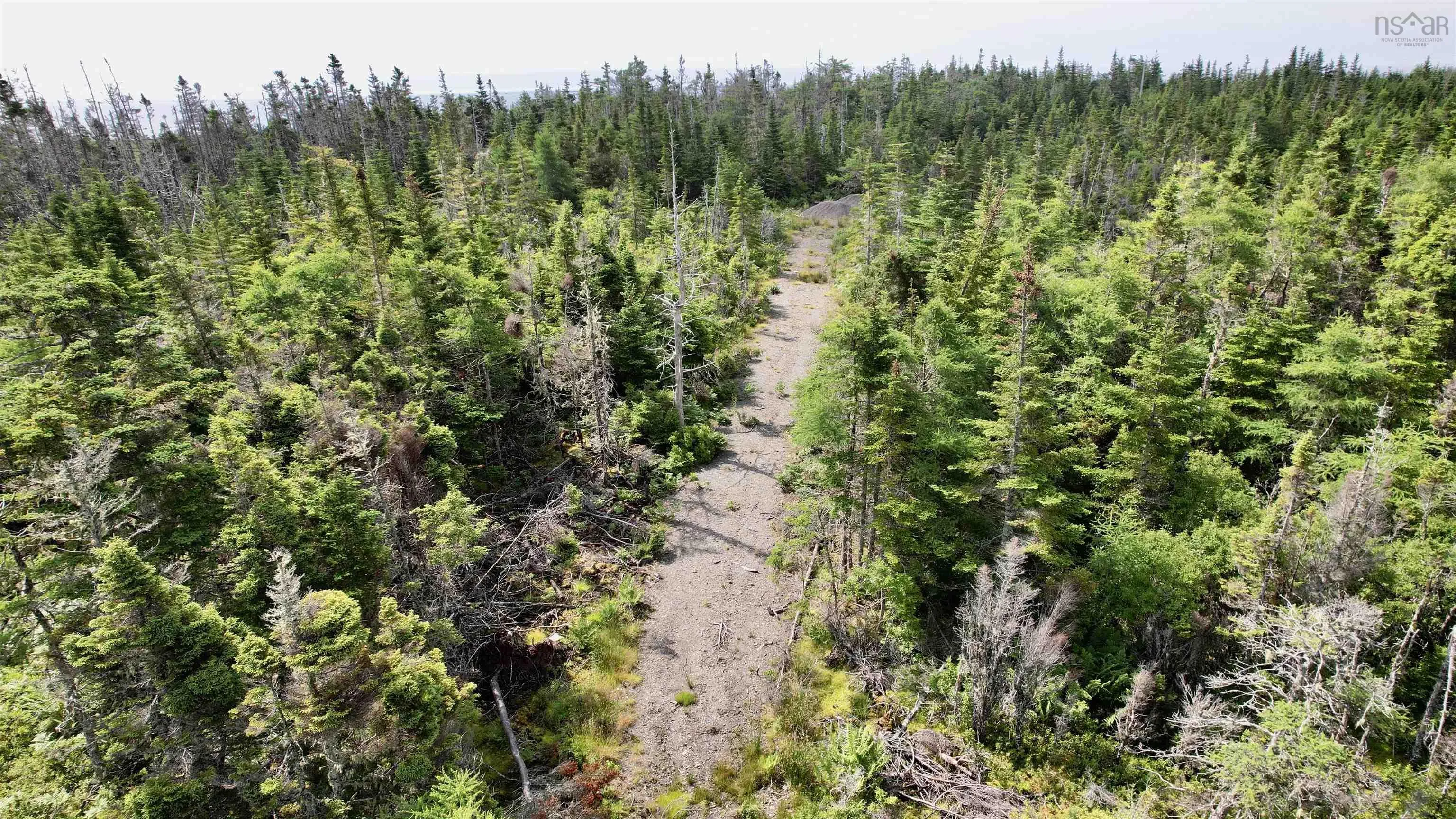 0 Belfry Beach Road Lot 28, Belfry Beach Ns B1k 2e8, ,Land,For Sale,Belfry Beach,202416711