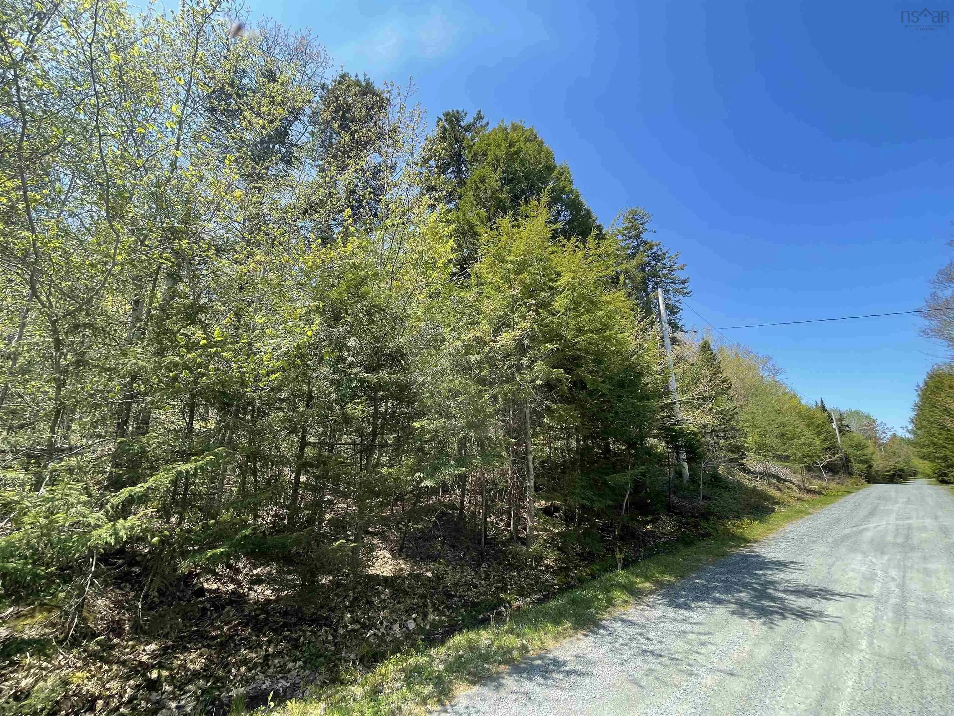 Huber Road Lot 24, Camperdown, NS B0J 1V0, ,Land,For Sale,Huber,202510989