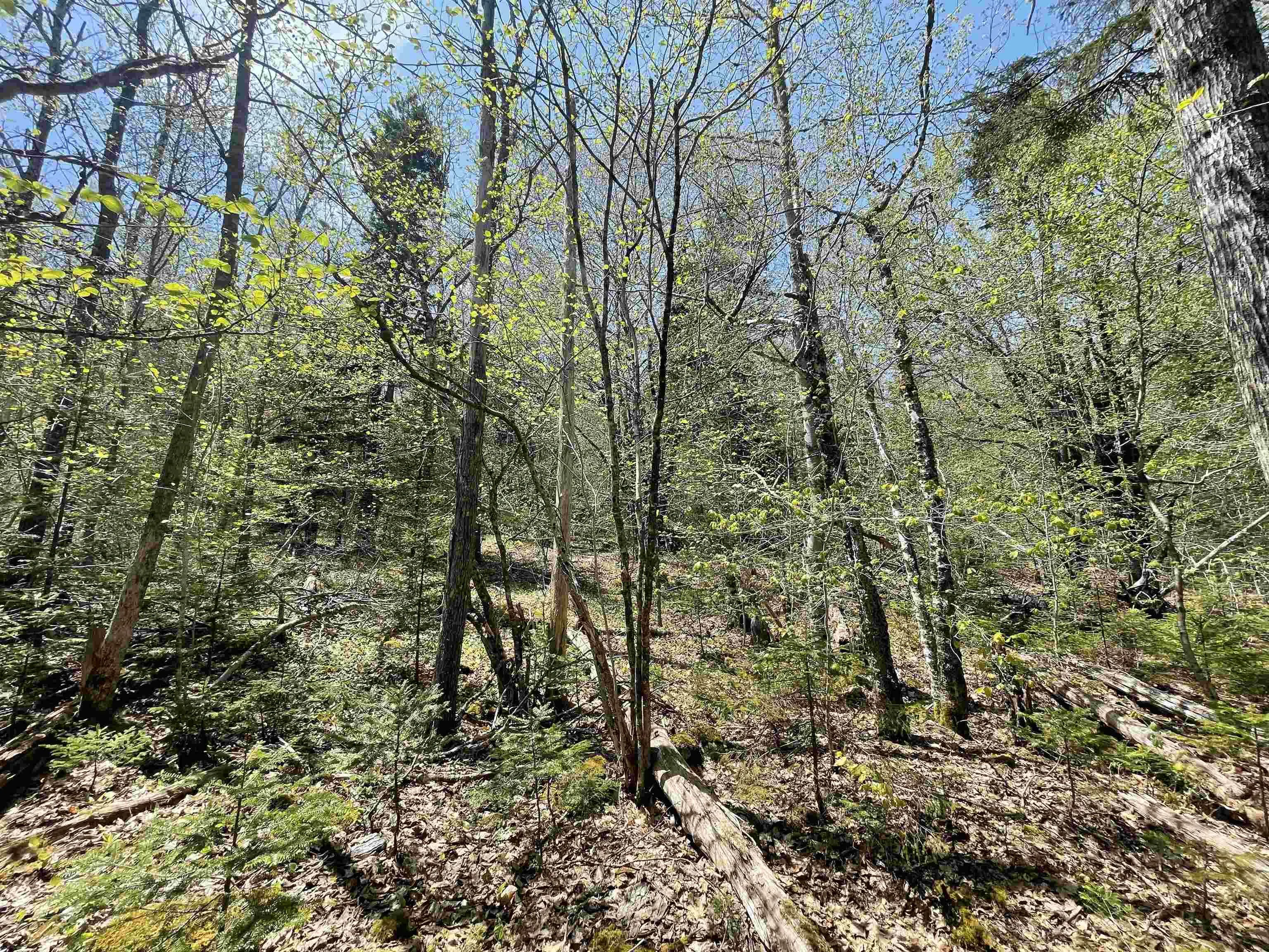 Huber Road Lot 24, Camperdown, NS B0J 1V0, ,Land,For Sale,Huber,202510989