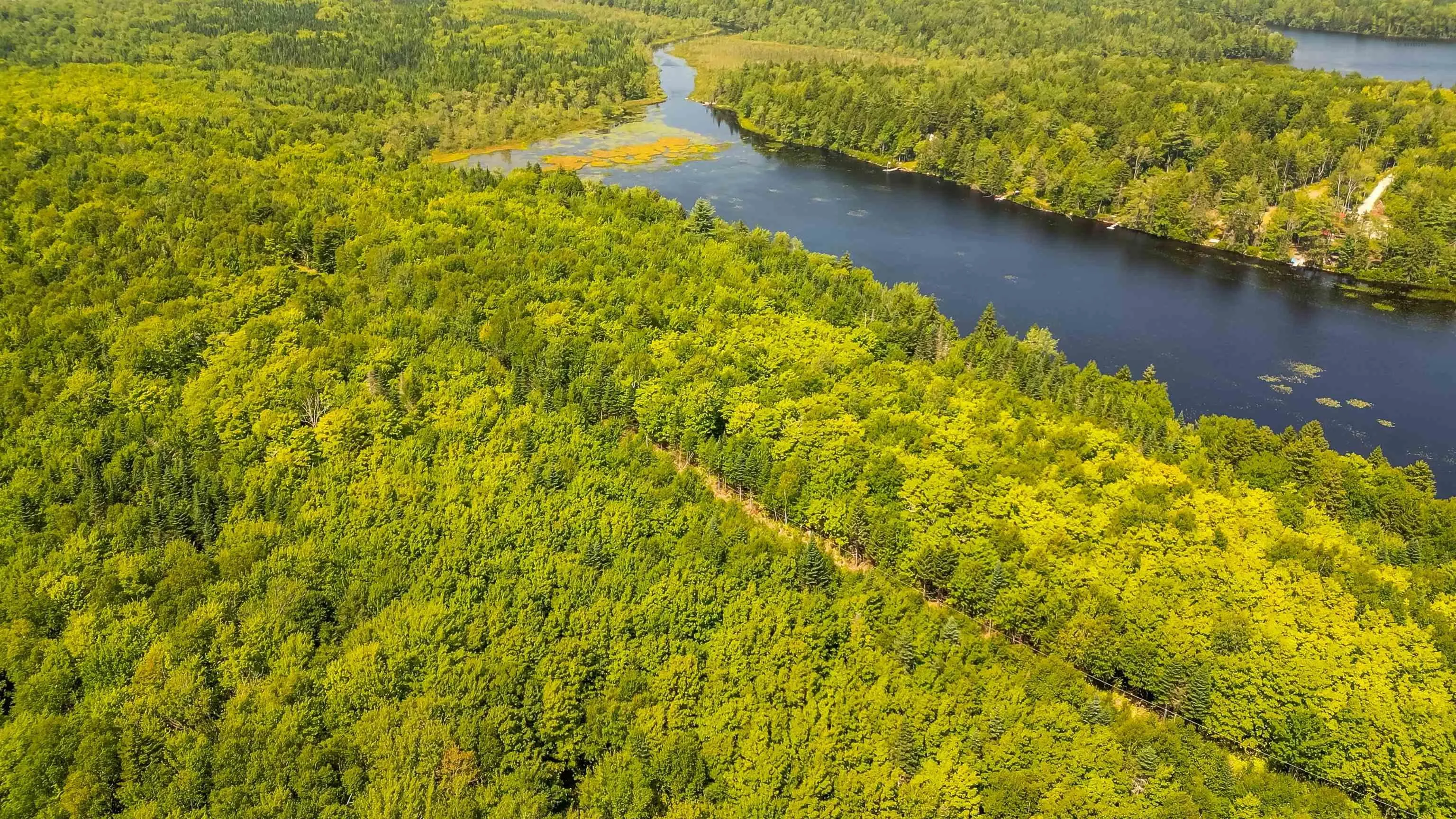 Red Shirt Road Road, New Russell, NS B0J 2M0, ,Land,For Sale,Red Shirt Road,202519689