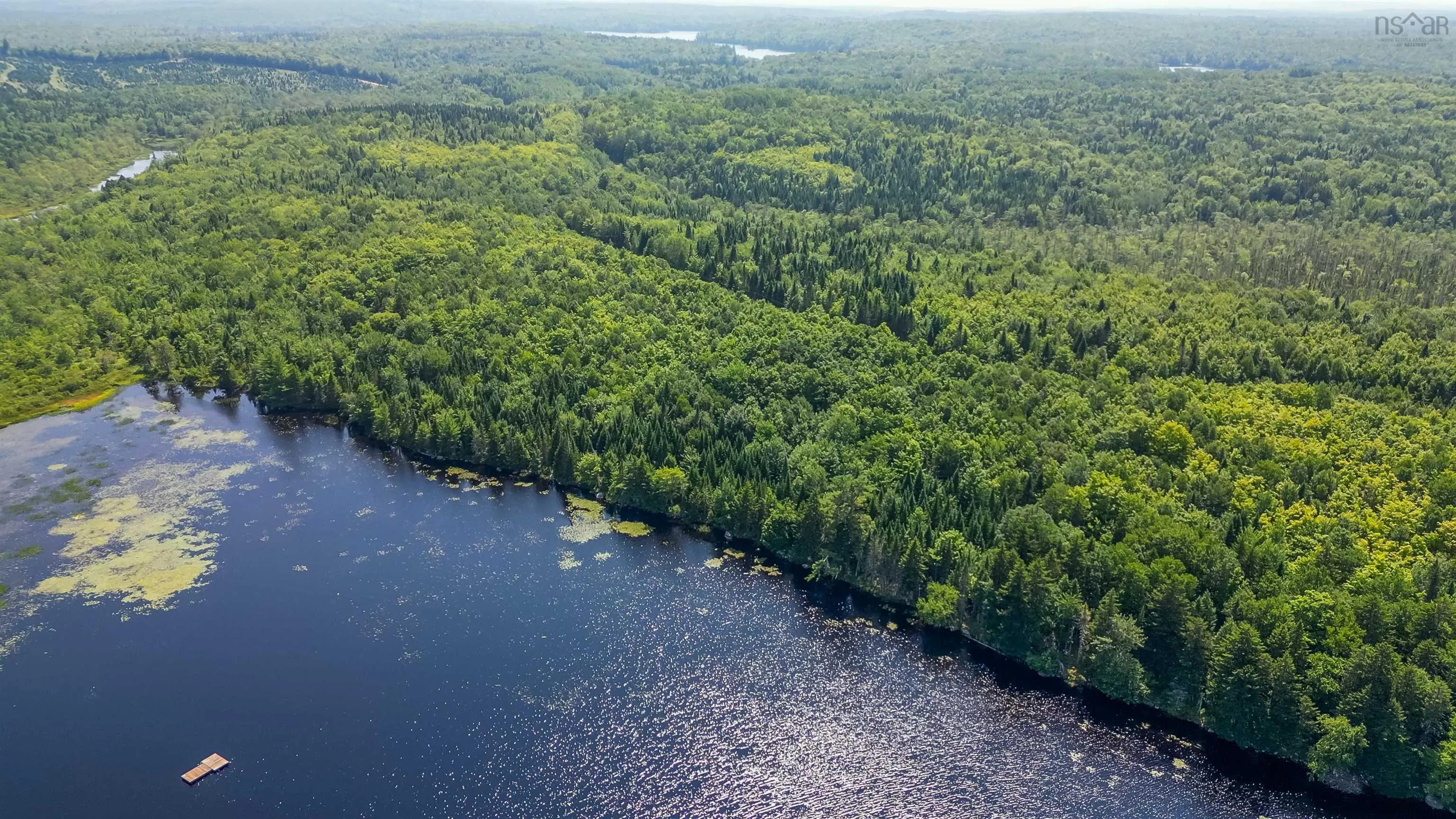Red Shirt Road Road, New Russell, NS B0J 2M0, ,Land,For Sale,Red Shirt Road,202519689