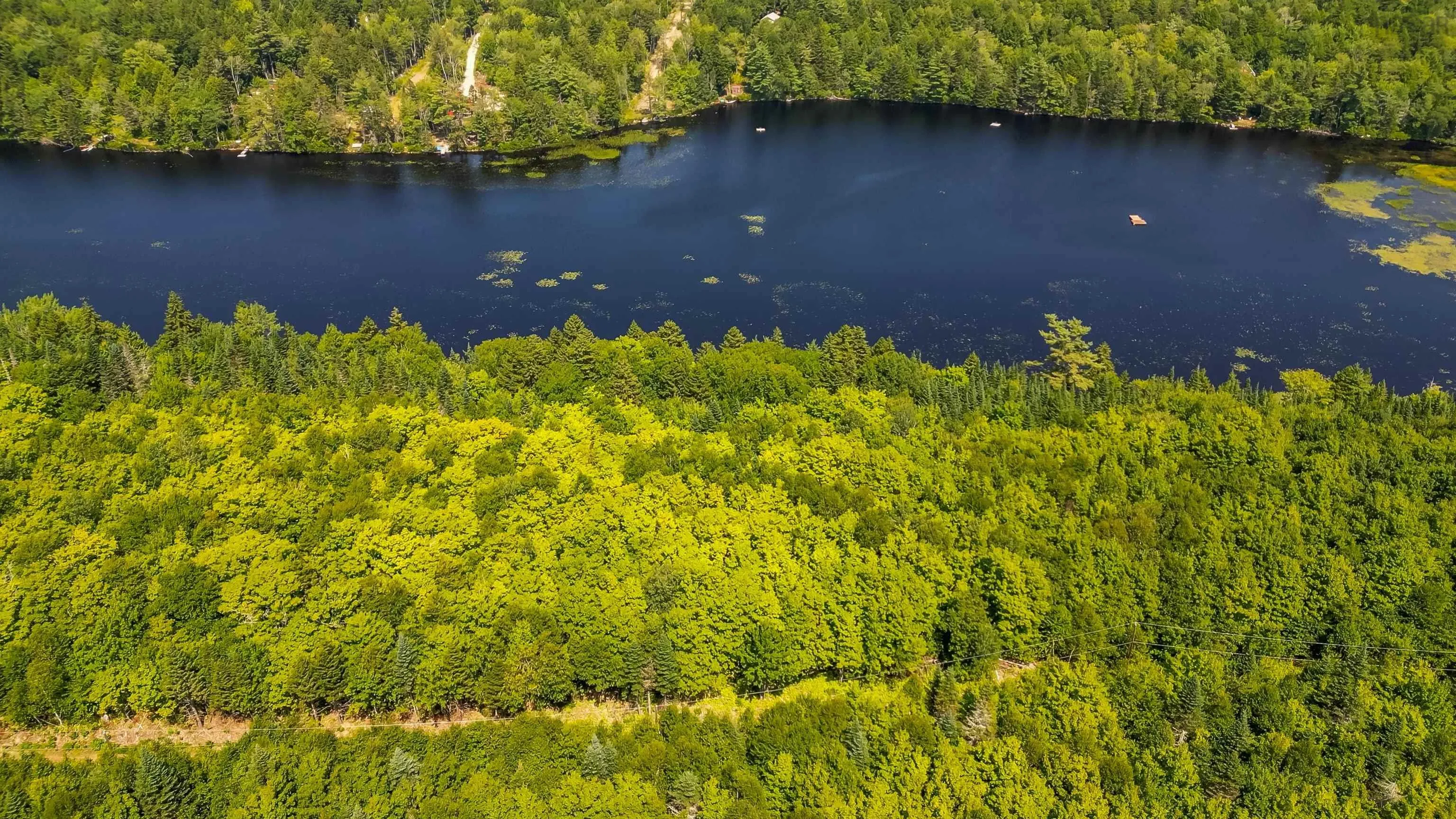 Red Shirt Road Road, New Russell, NS B0J 2M0, ,Land,For Sale,Red Shirt Road,202519689