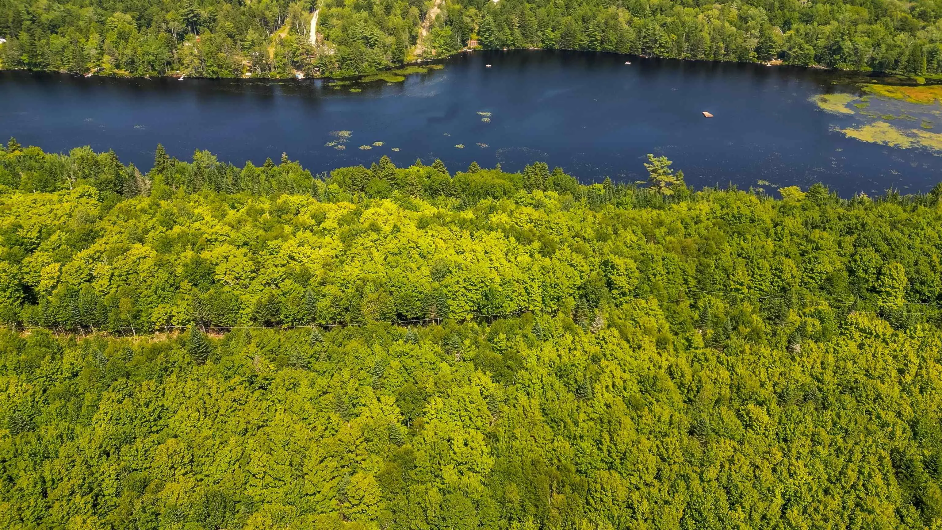 Red Shirt Road Road, New Russell, NS B0J 2M0, ,Land,For Sale,Red Shirt Road,202519689