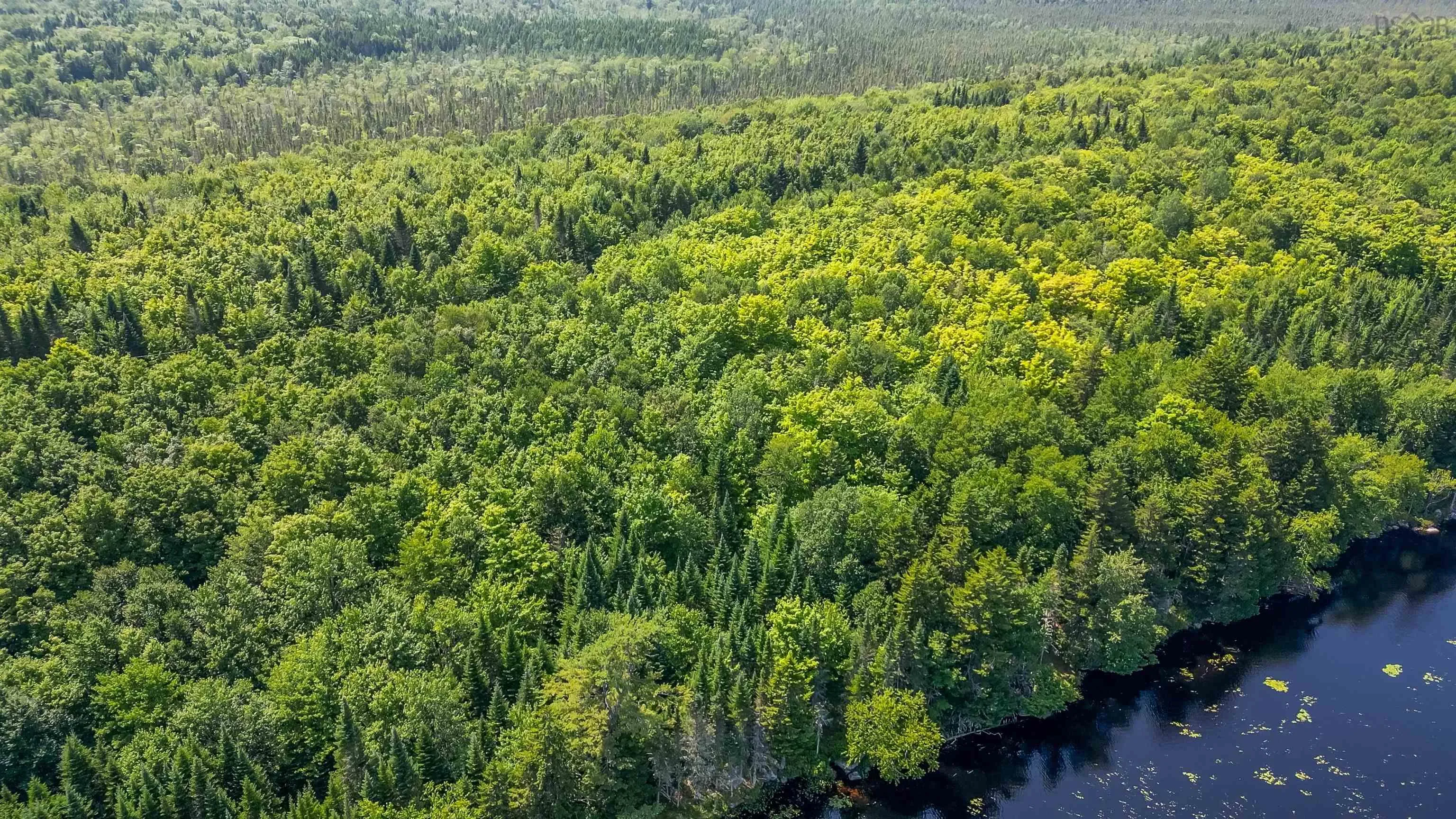 Red Shirt Road Road, New Russell, NS B0J 2M0, ,Land,For Sale,Red Shirt Road,202519689