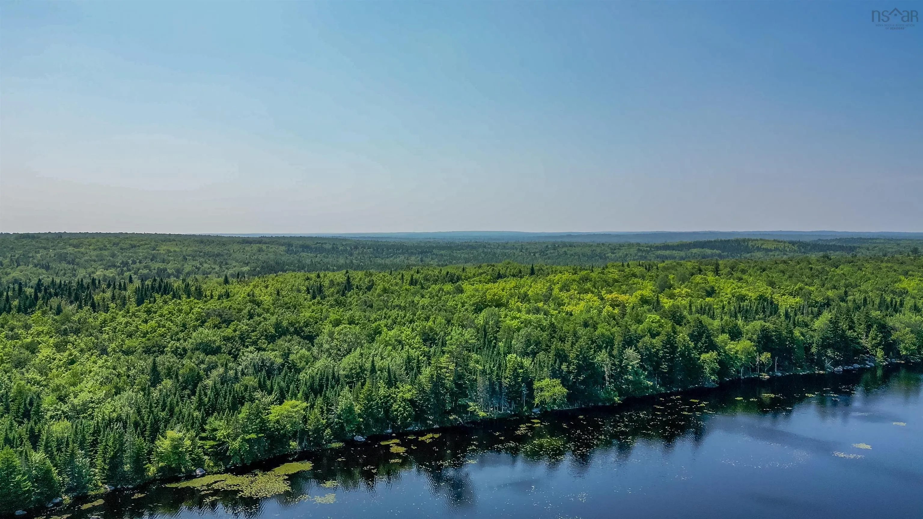 Red Shirt Road Road, New Russell, NS B0J 2M0, ,Land,For Sale,Red Shirt Road,202519689