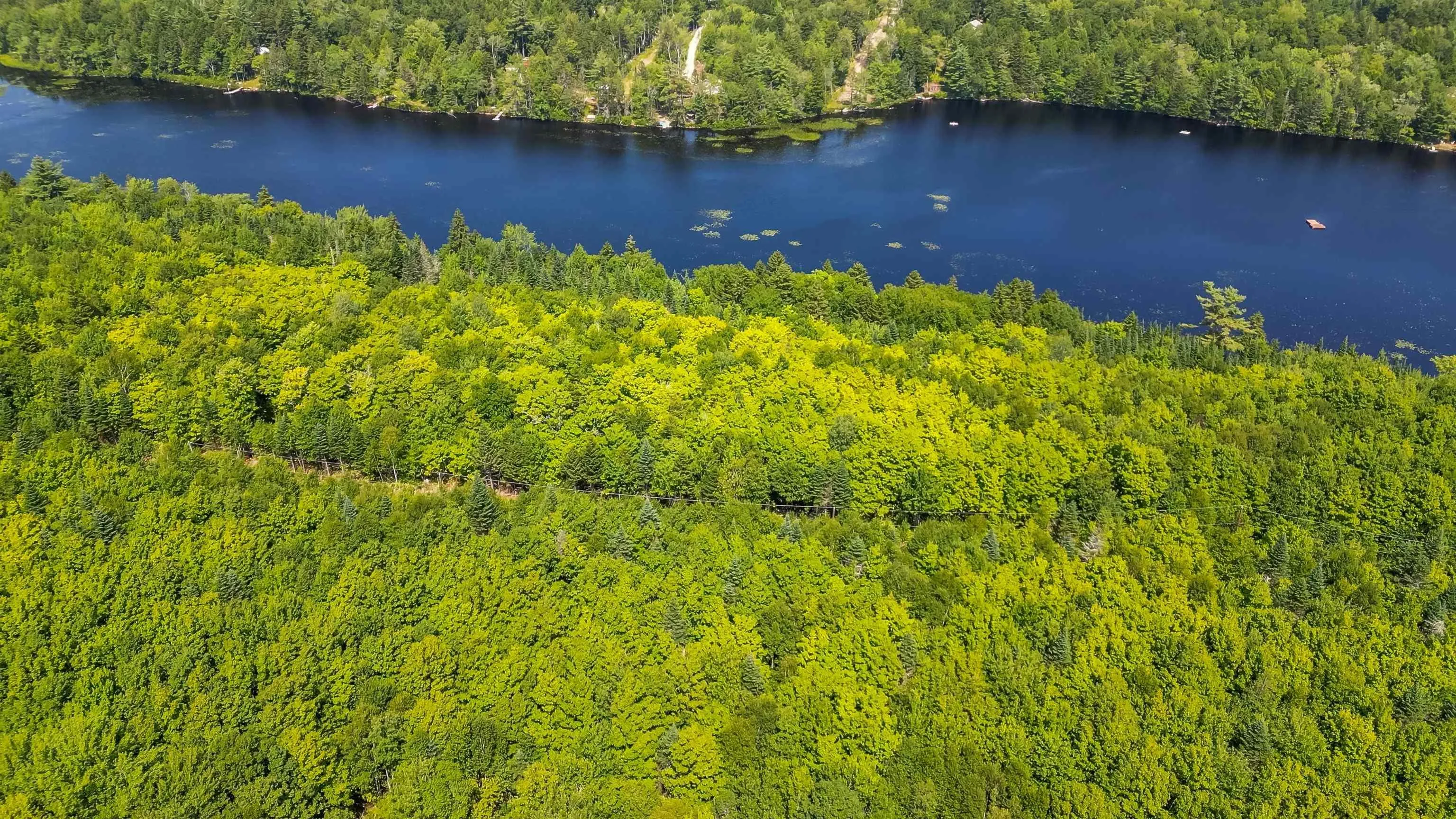 Red Shirt Road Road, New Russell, NS B0J 2M0, ,Land,For Sale,Red Shirt Road,202519689