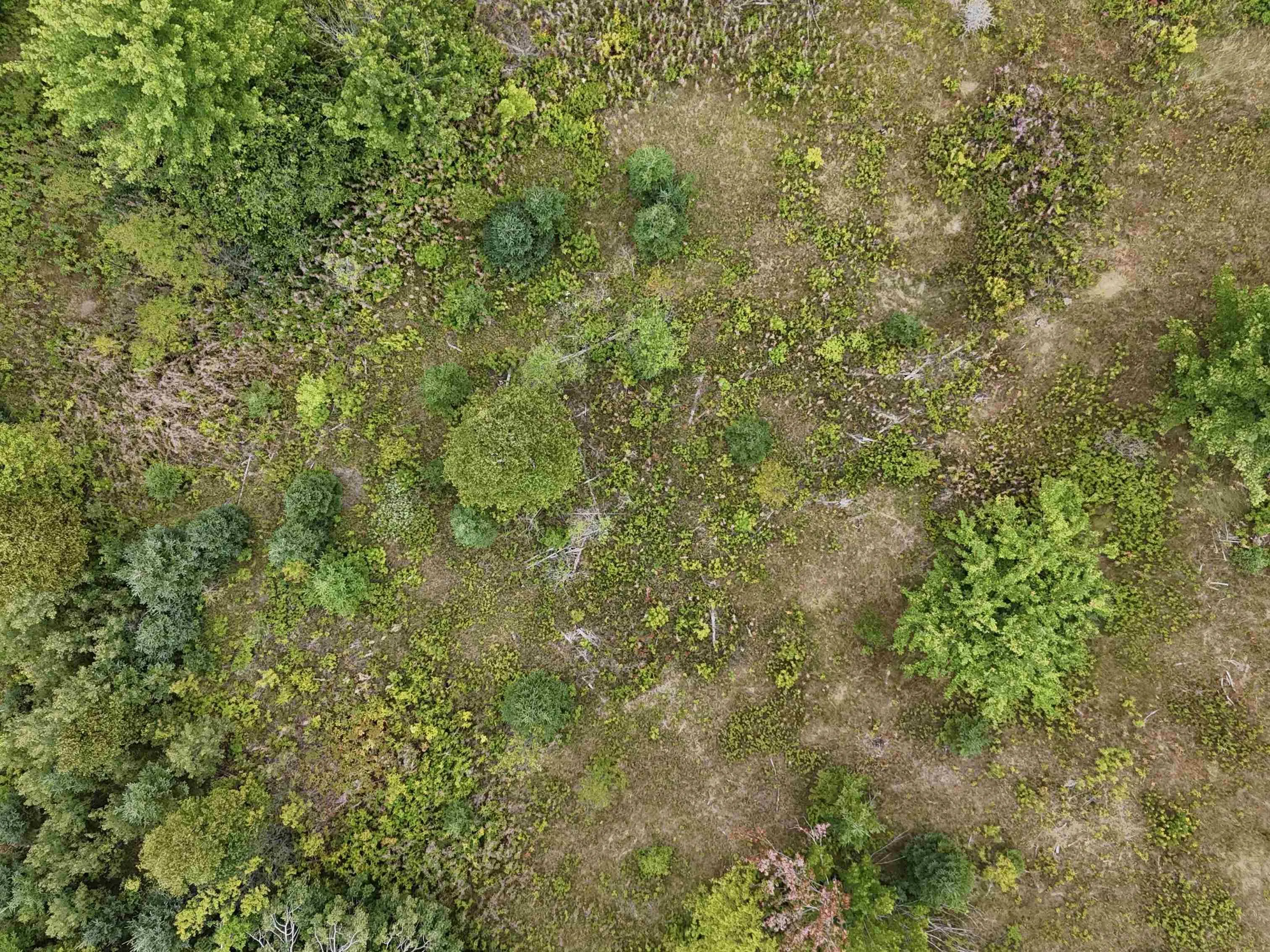 0 Hillside Rd Road, Southside Boularderie, NS B1Y 1Y7, ,Land,For Sale,Hillside Rd,202521624