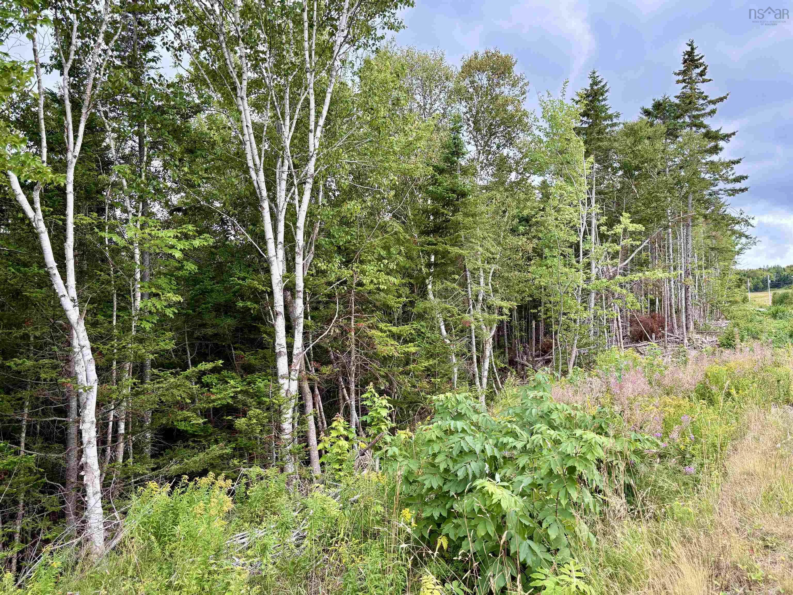 0 Hillside Rd Road, Southside Boularderie, NS B1Y 1Y7, ,Land,For Sale,Hillside Rd,202521624