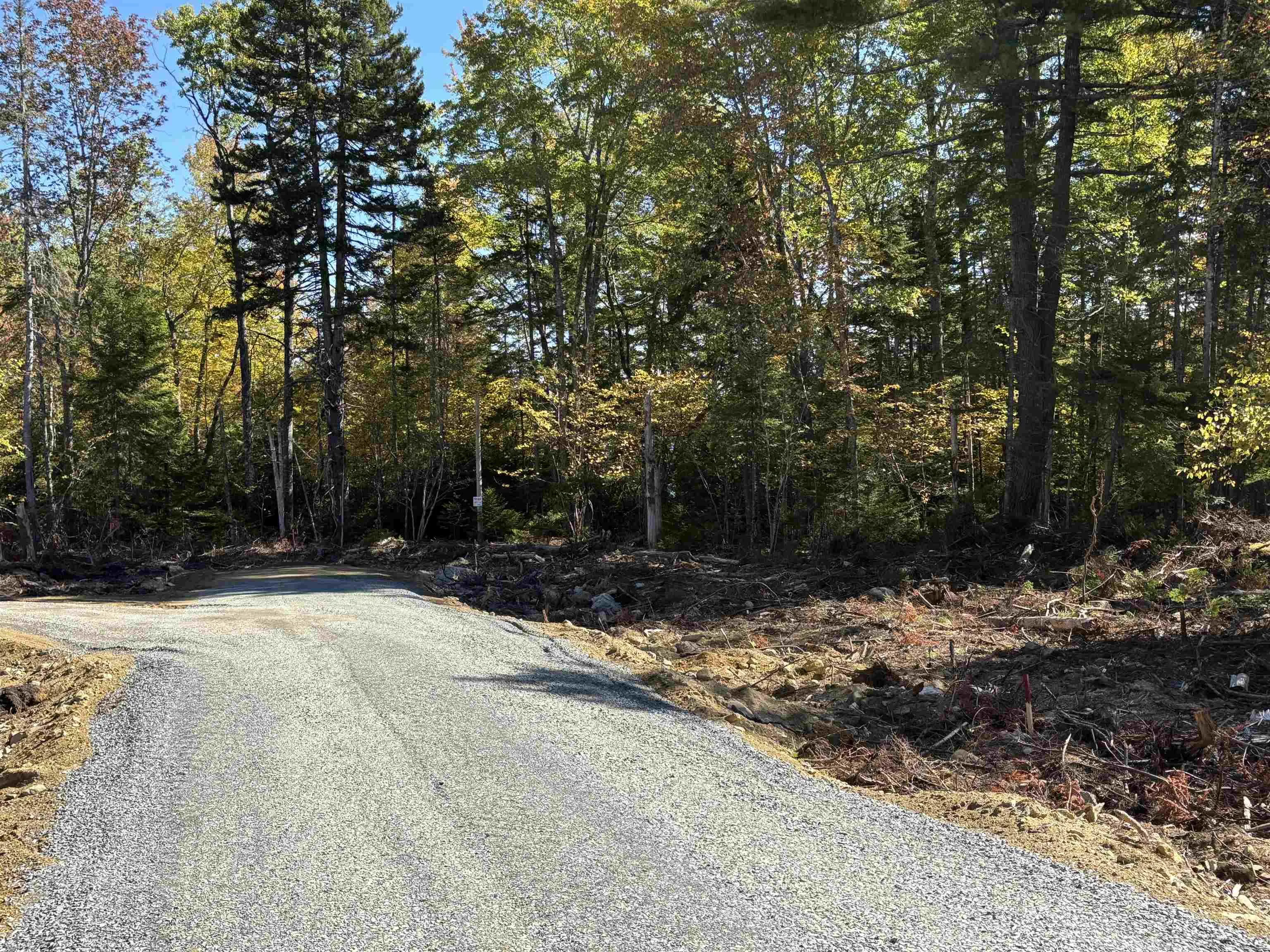 Highway 325 Lot 23, West Clifford, NS B4V 8H3, ,Land,For Sale,Highway 325,202524868