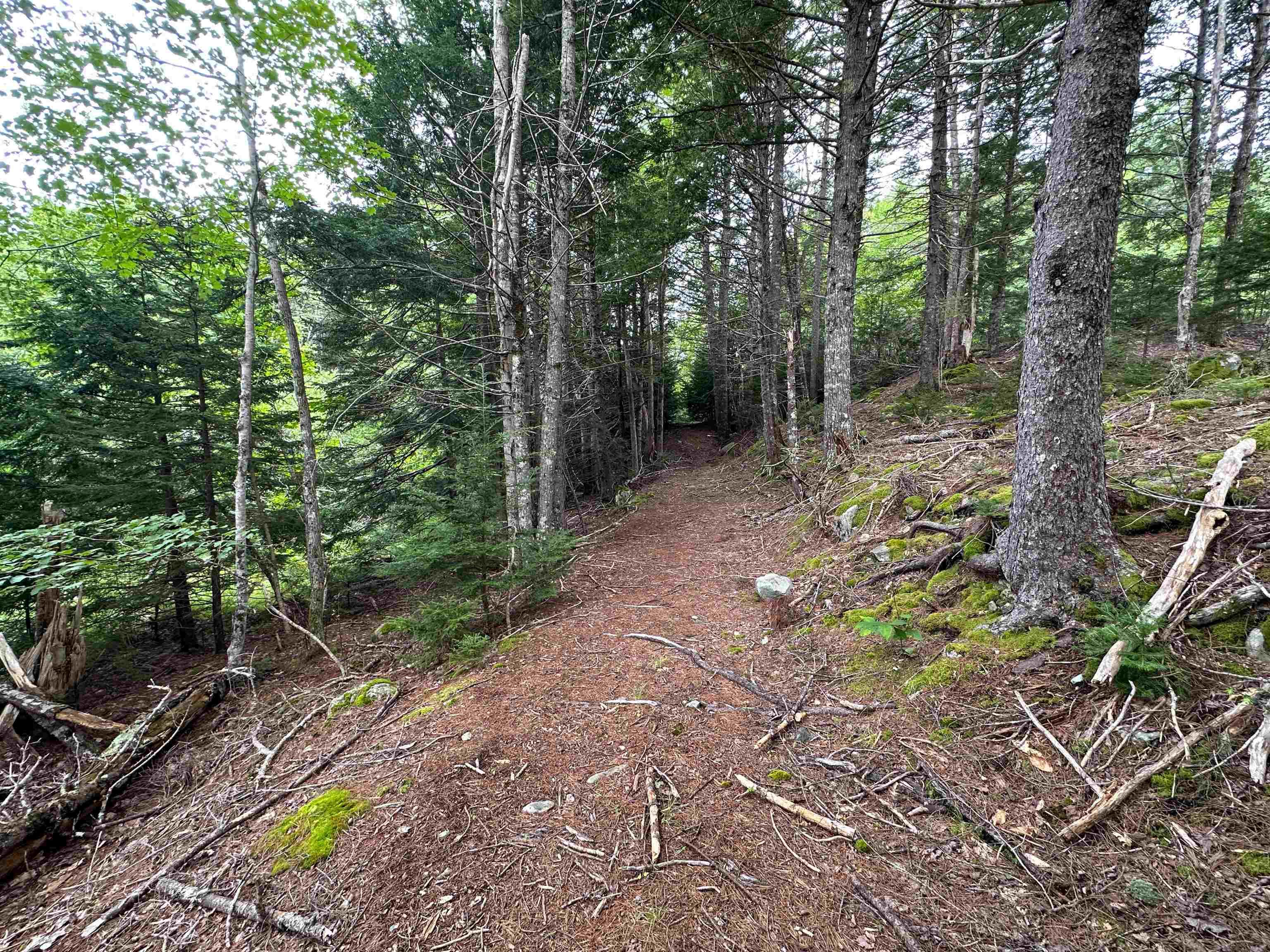 Narrows Road, Labelle NS B0T 1T0, ,Land,For Sale,Narrows,202317499