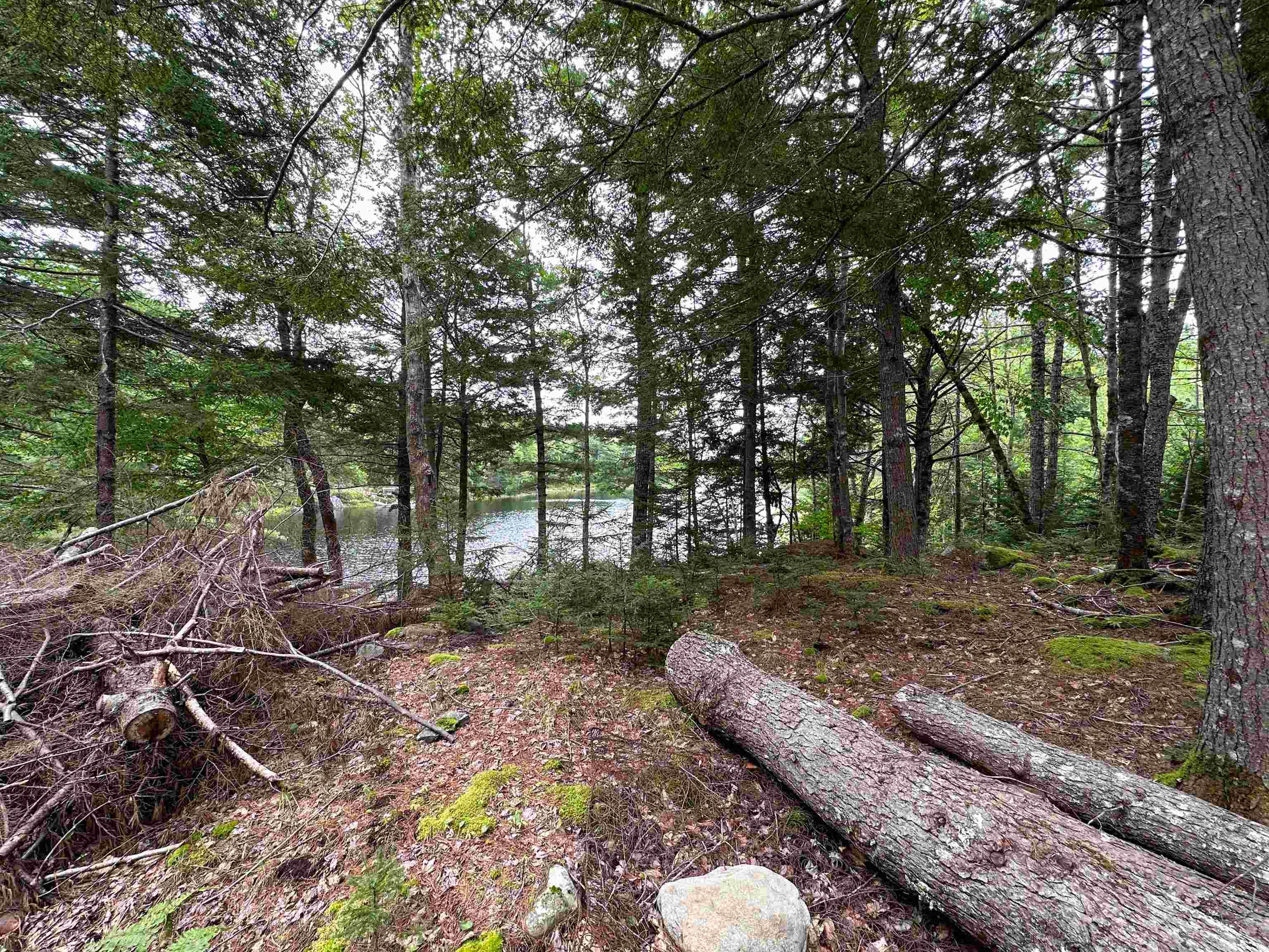 Narrows Road, Labelle NS B0T 1T0, ,Land,For Sale,Narrows,202317499