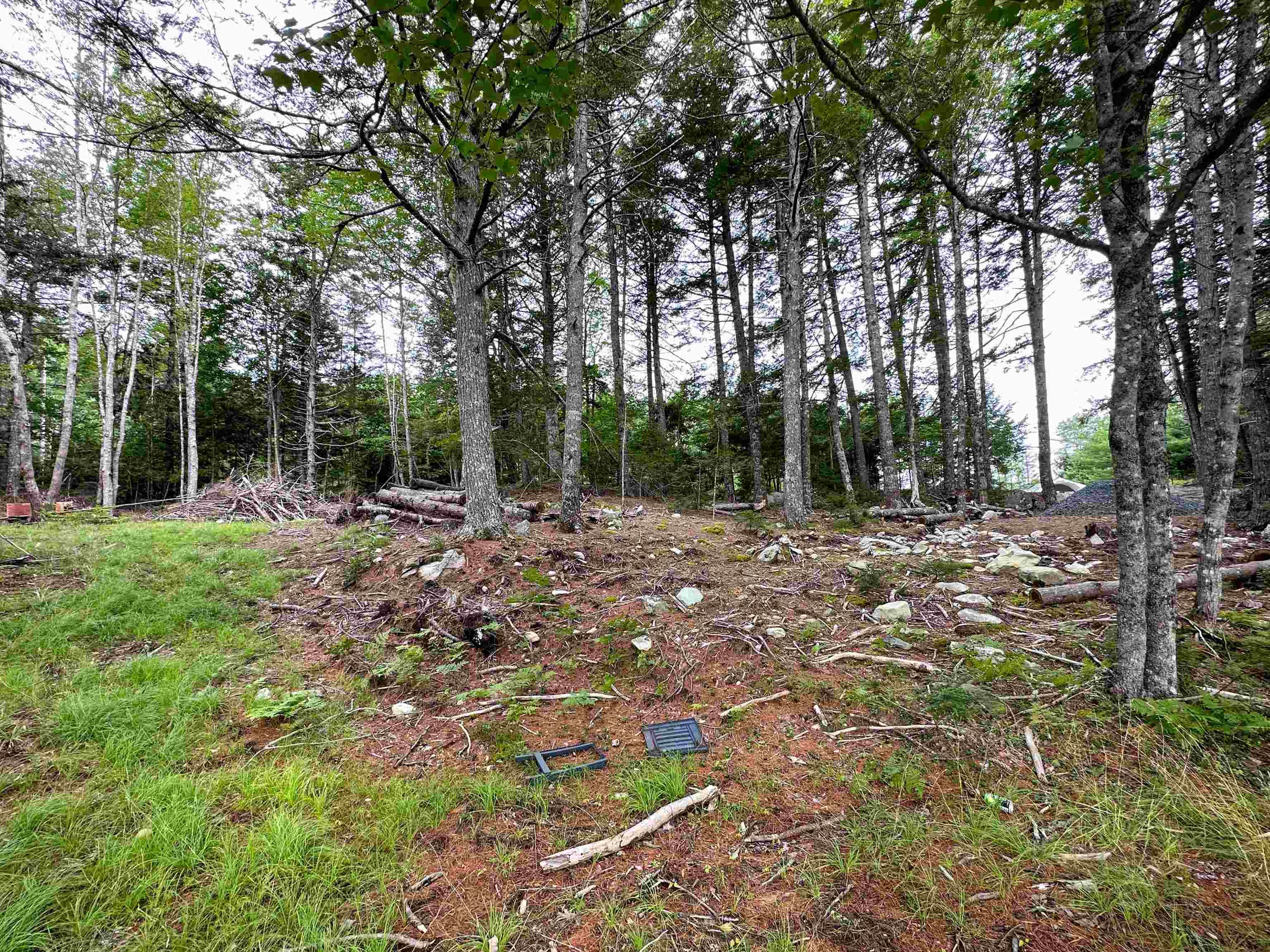 Narrows Road, Labelle NS B0T 1T0, ,Land,For Sale,Narrows,202317499