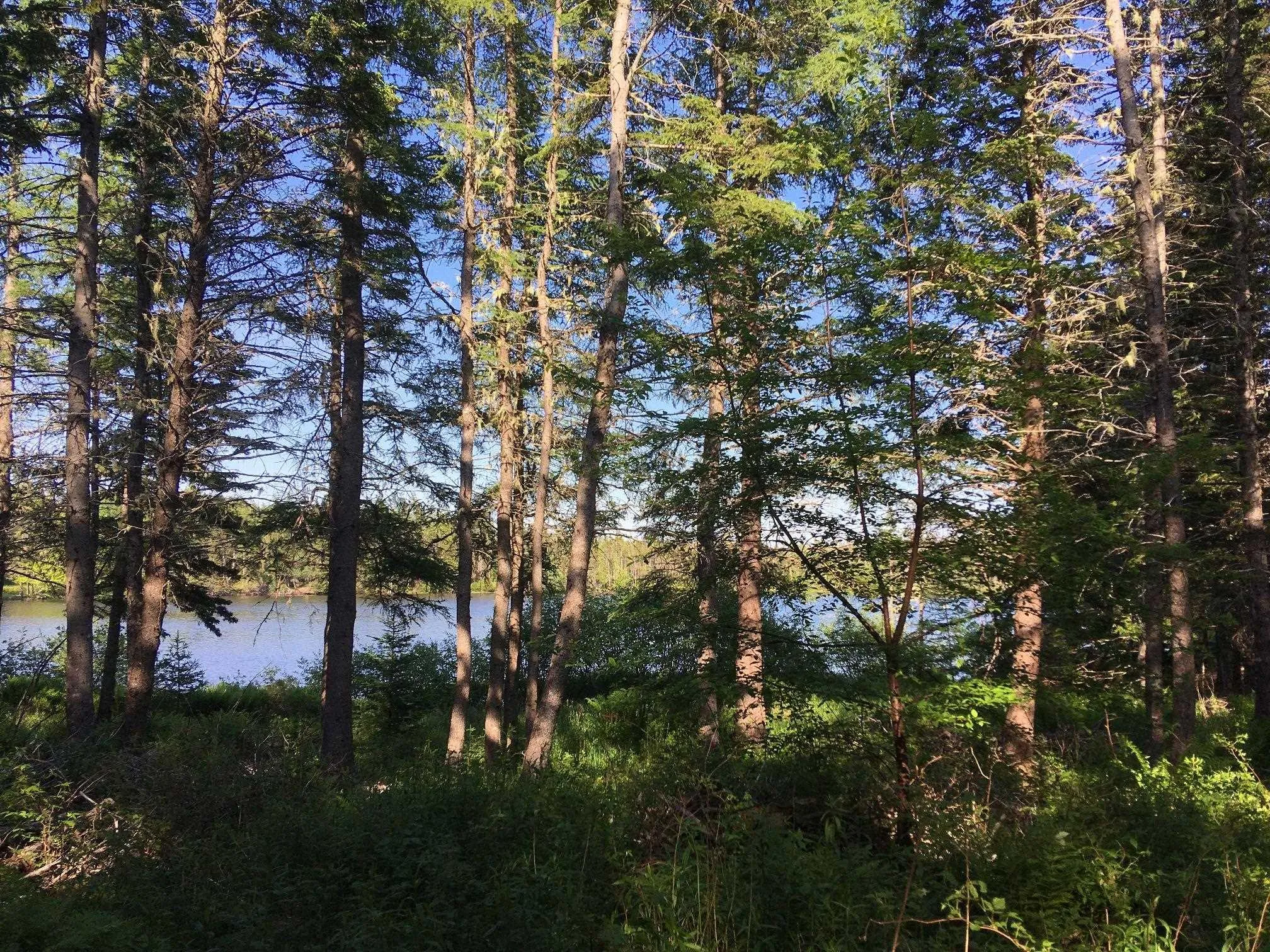 Peter Sosna Drive, Hay Cove Ns B0e 3b0, ,Land,For Sale,Peter Sosna,202502771