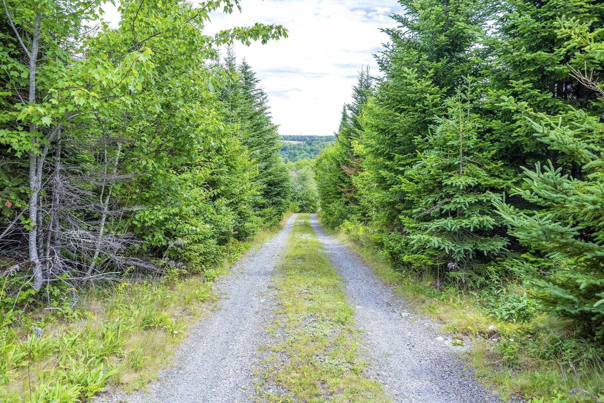 18 Fenwick Rd, Eden Lake, NS B2H 5C7, 2 Bedrooms Bedrooms, ,1 BathroomBathrooms,Residential,For Sale,Fenwick Rd,202517553