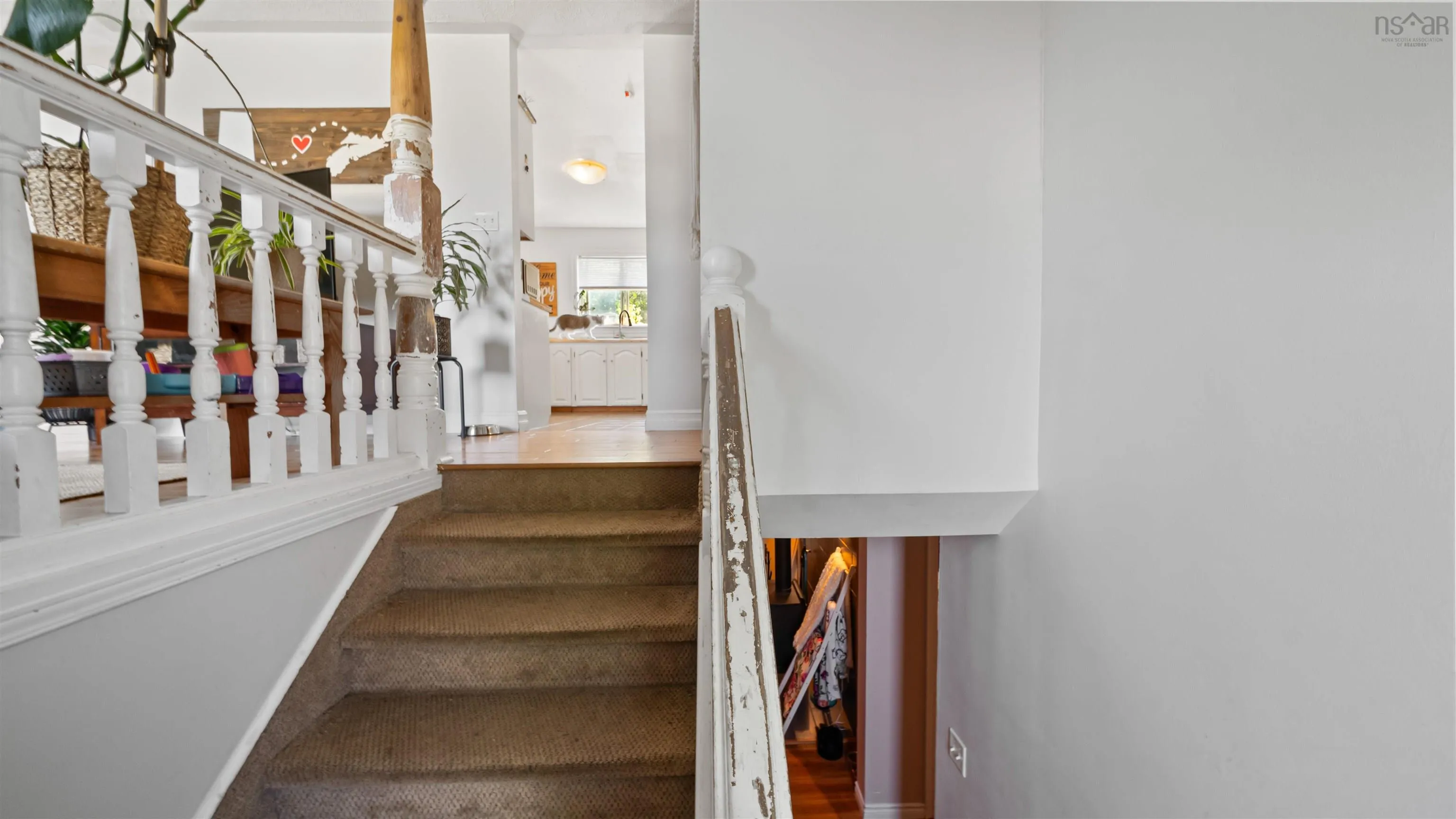 246 Arklow Drive, Dartmouth, NS B2W 4R6, 5 Bedrooms Bedrooms, ,3 BathroomsBathrooms,Residential,For Sale,Arklow,202519060