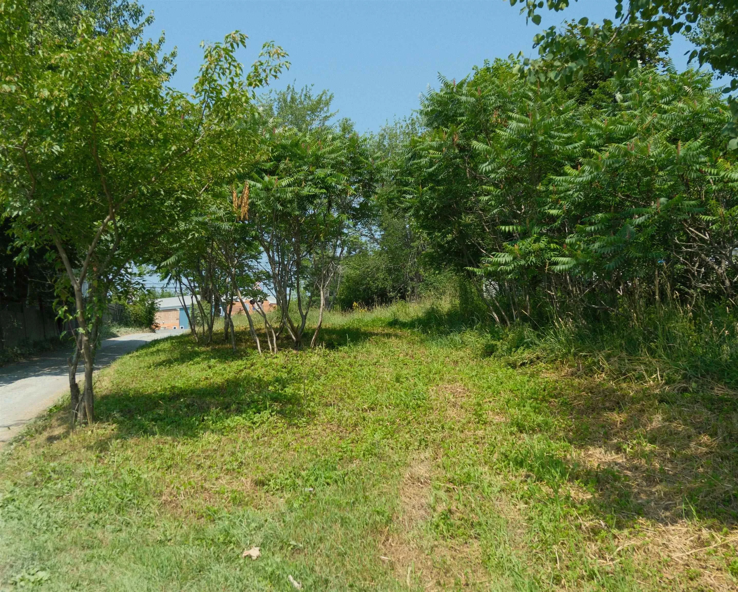 46 Community Centre Lane, Windsor Junction, NS B2T 1W6, ,Land,For Sale,Community Centre,202518000