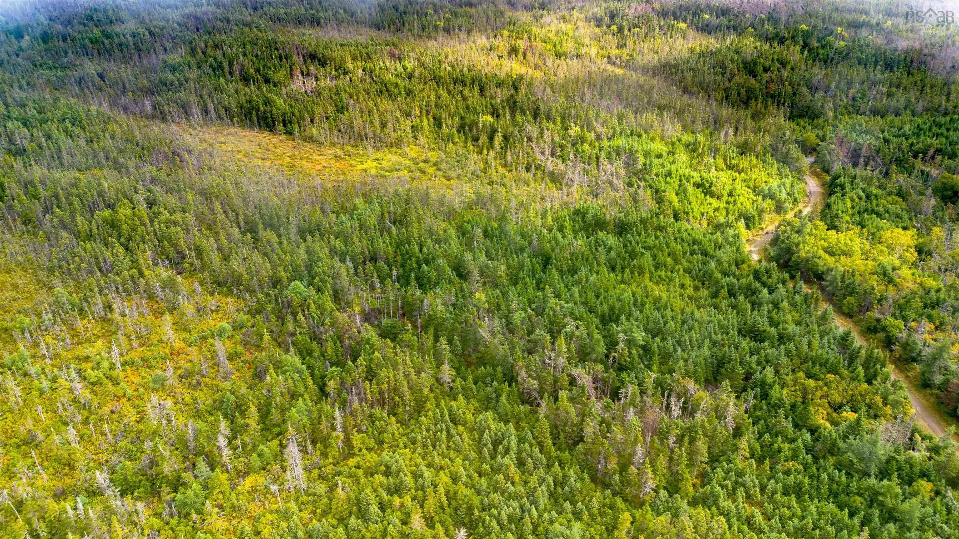 Lot 5&6 Oceanview Road, French Road, NS B0A 1P0, ,Land,For Sale,Oceanview,202522733