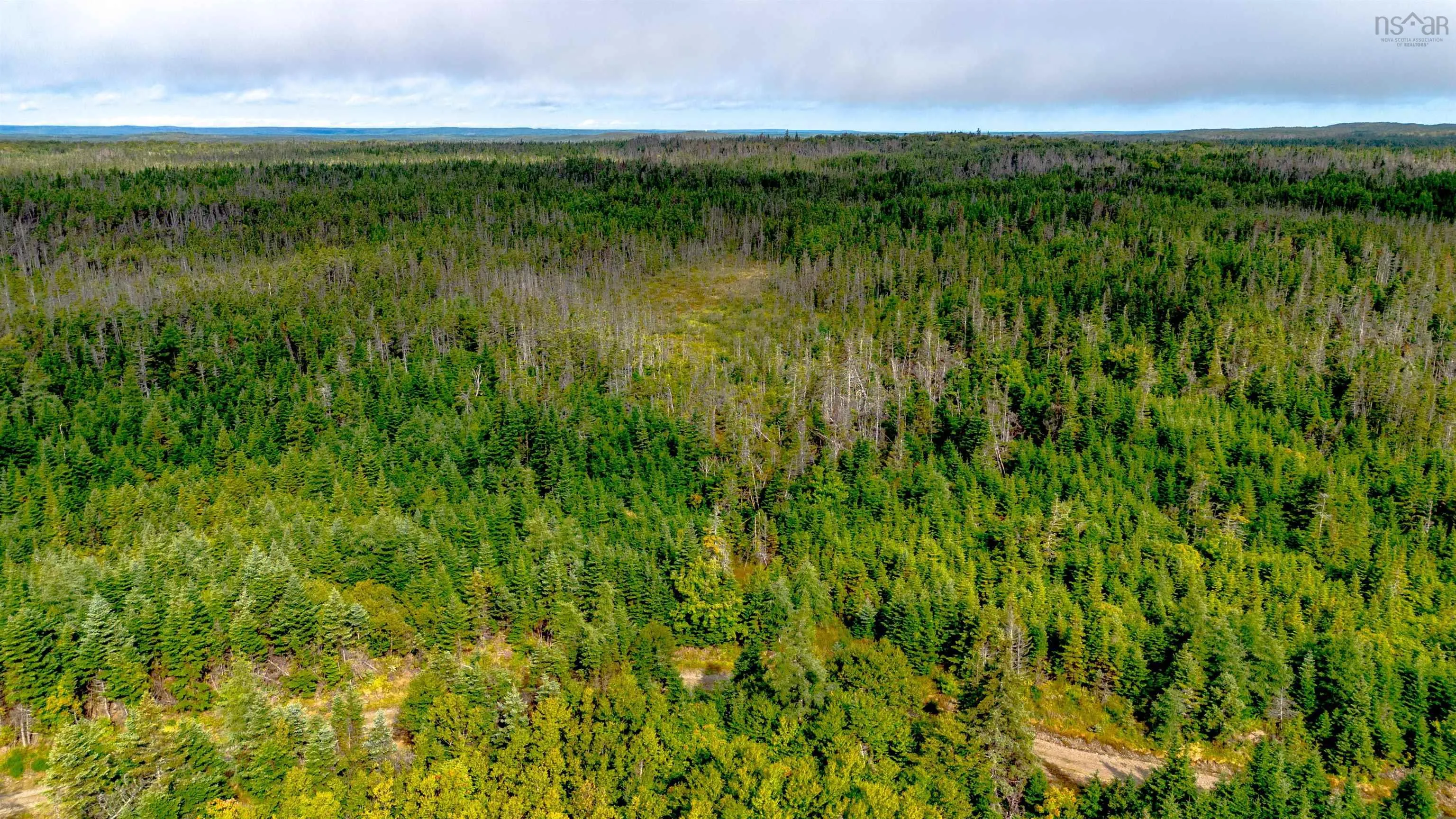 Lot 5&6 Oceanview Road, French Road, NS B0A 1P0, ,Land,For Sale,Oceanview,202522733